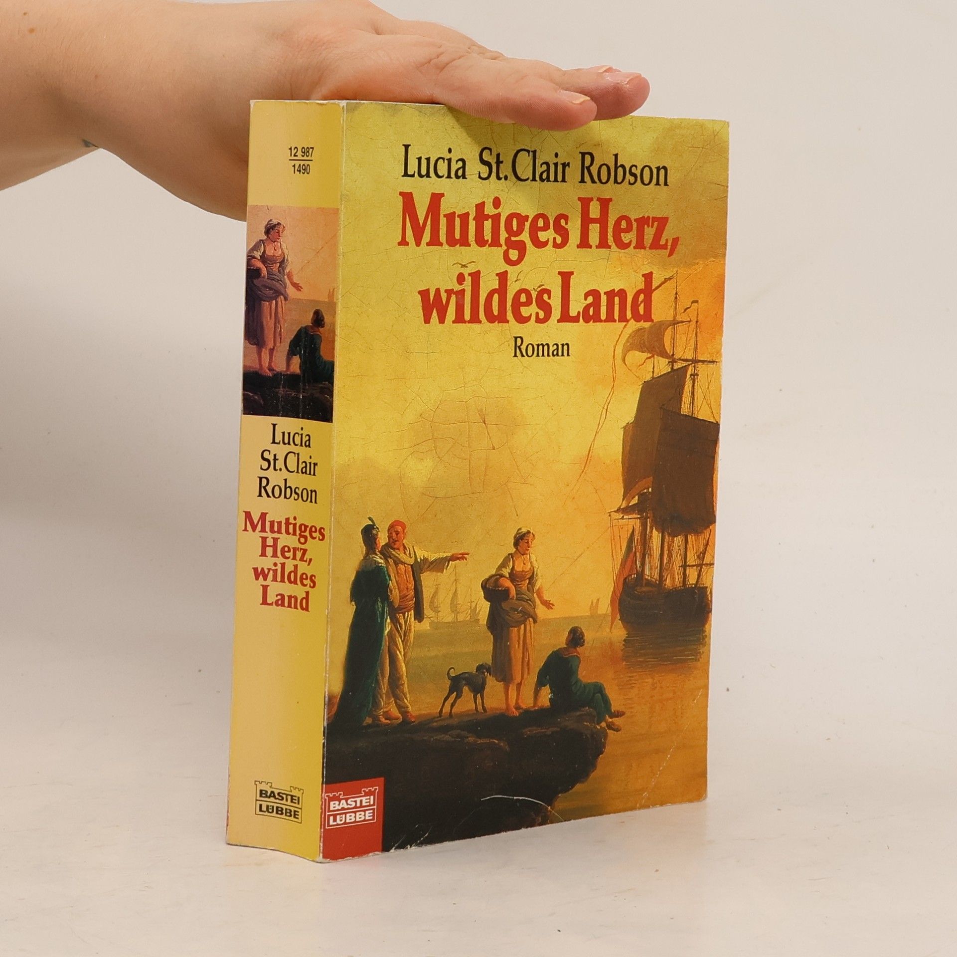 Lucia Saint Clair Robson Mutiges Herz, wildes Land