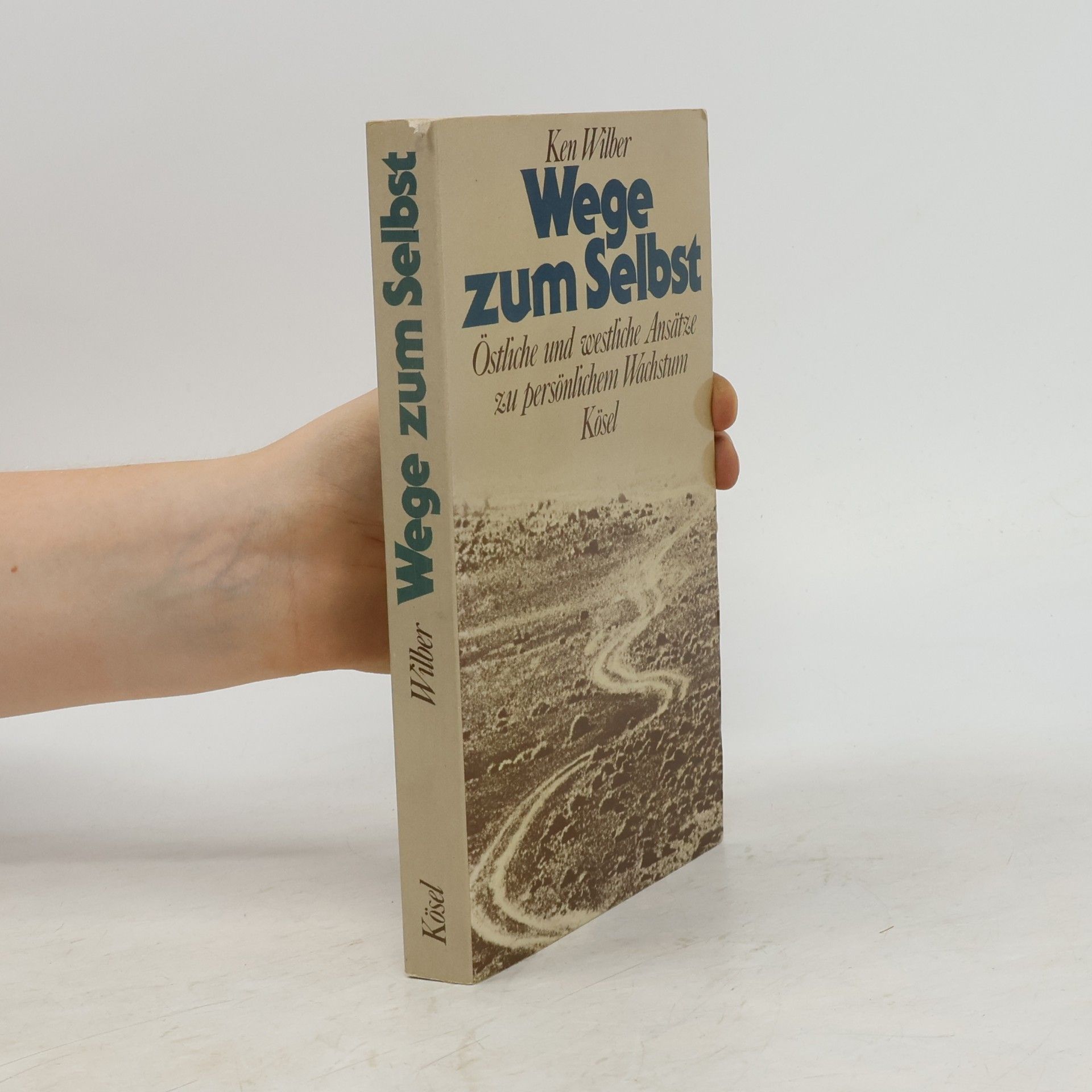 Ken Wilber Wege zum Selbst