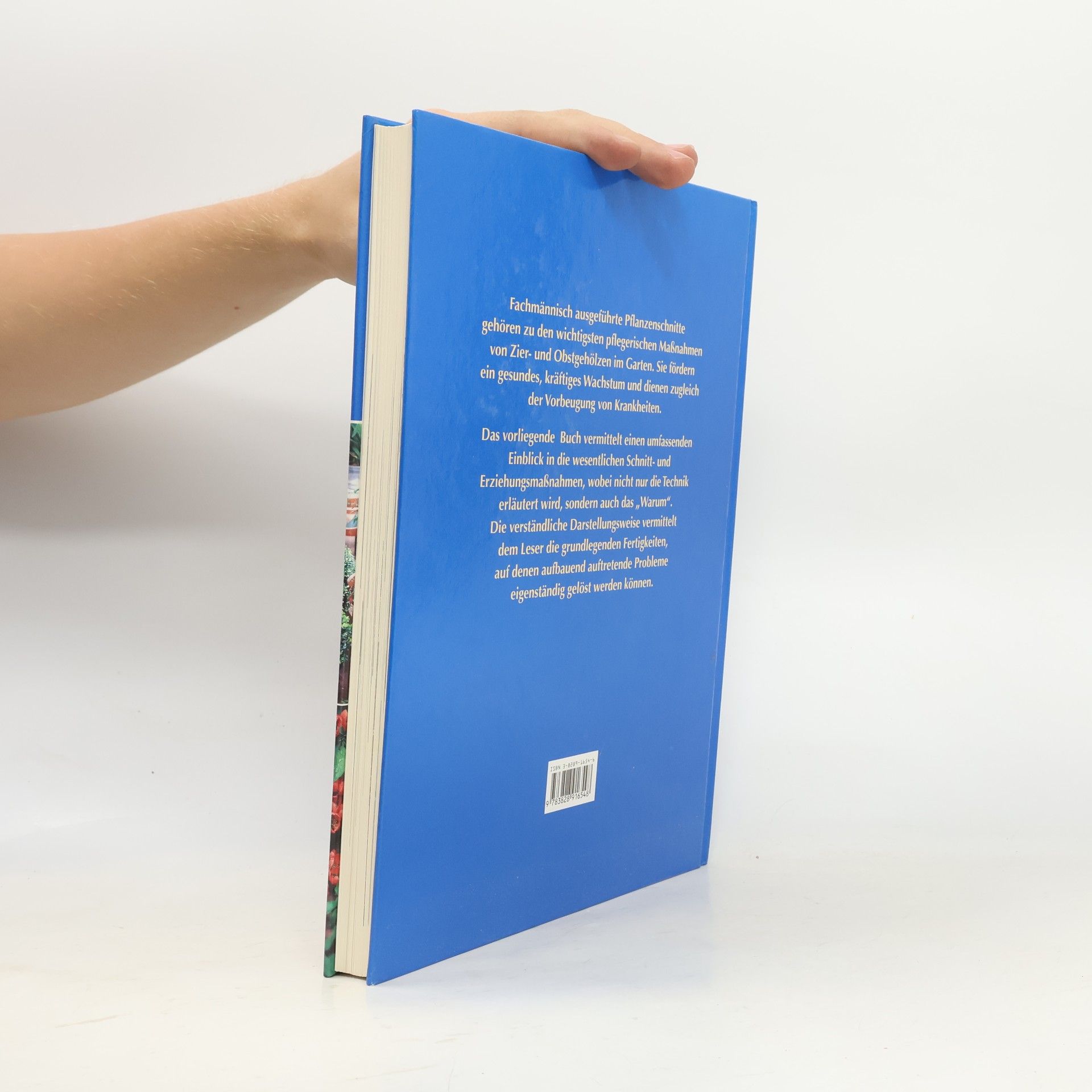 David Joyce Das große Buch vom Pflanzenschneiden