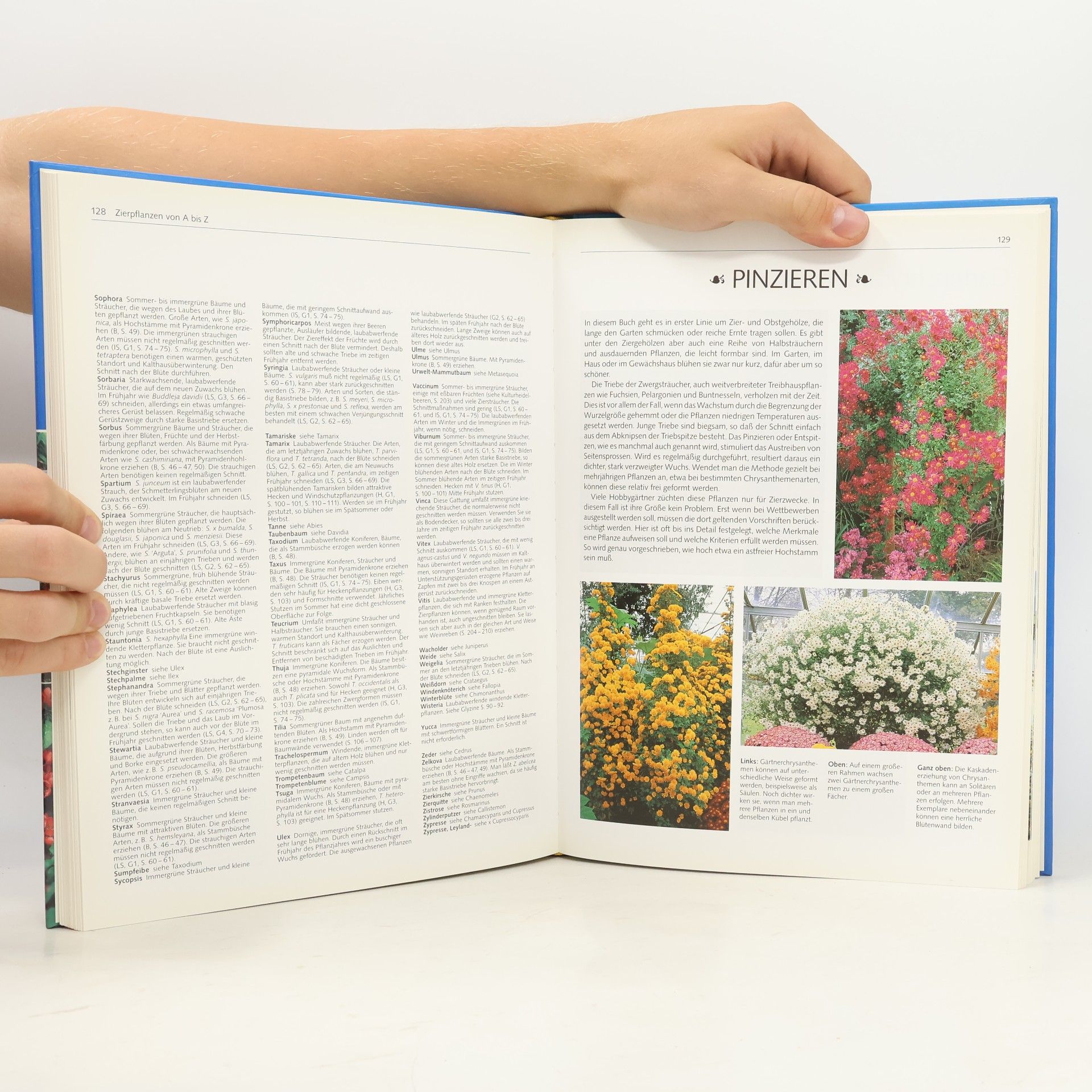 David Joyce Das große Buch vom Pflanzenschneiden