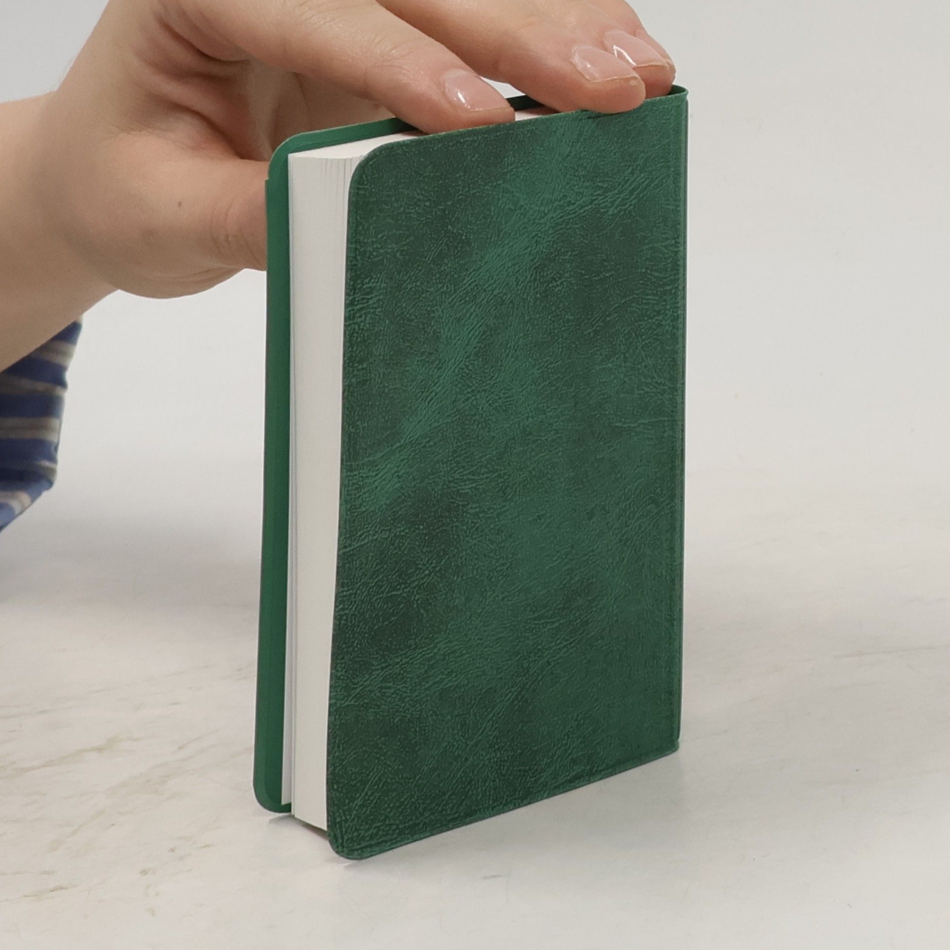 Autorenkollektiv Bibel Neues Teslament mit Psalmen Sprüchen