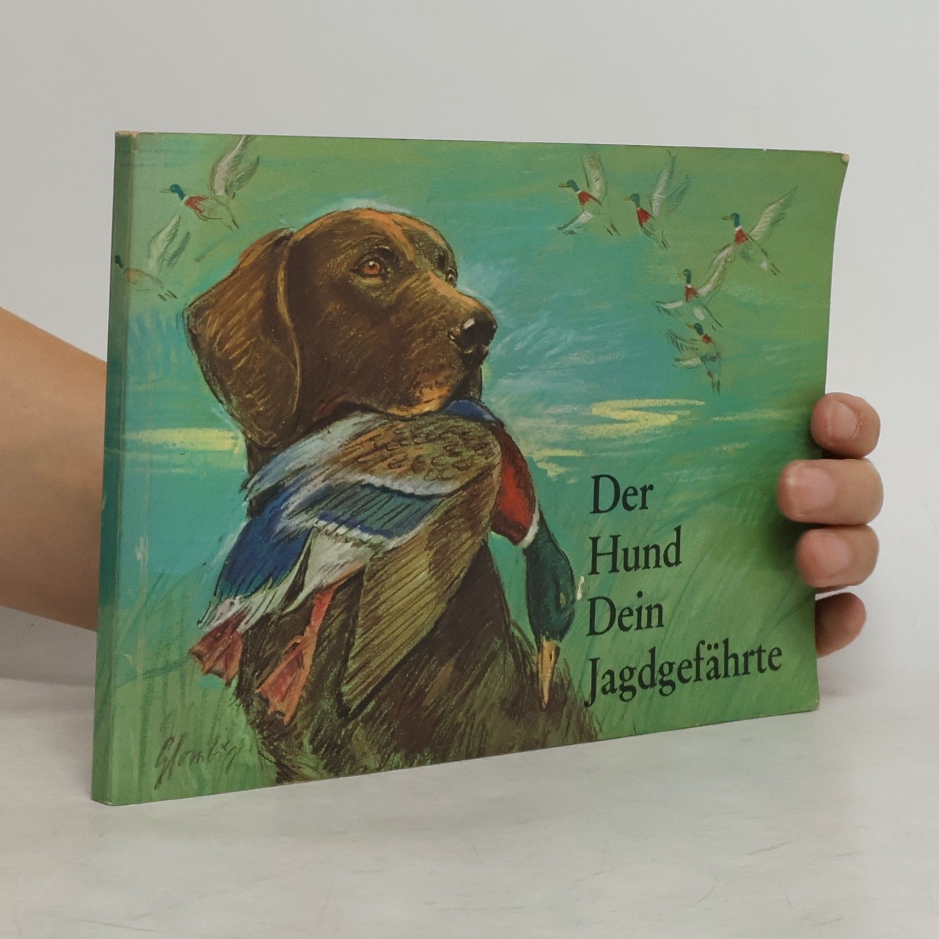 Autorenkollektiv Der Hund dein Jagdgefährte