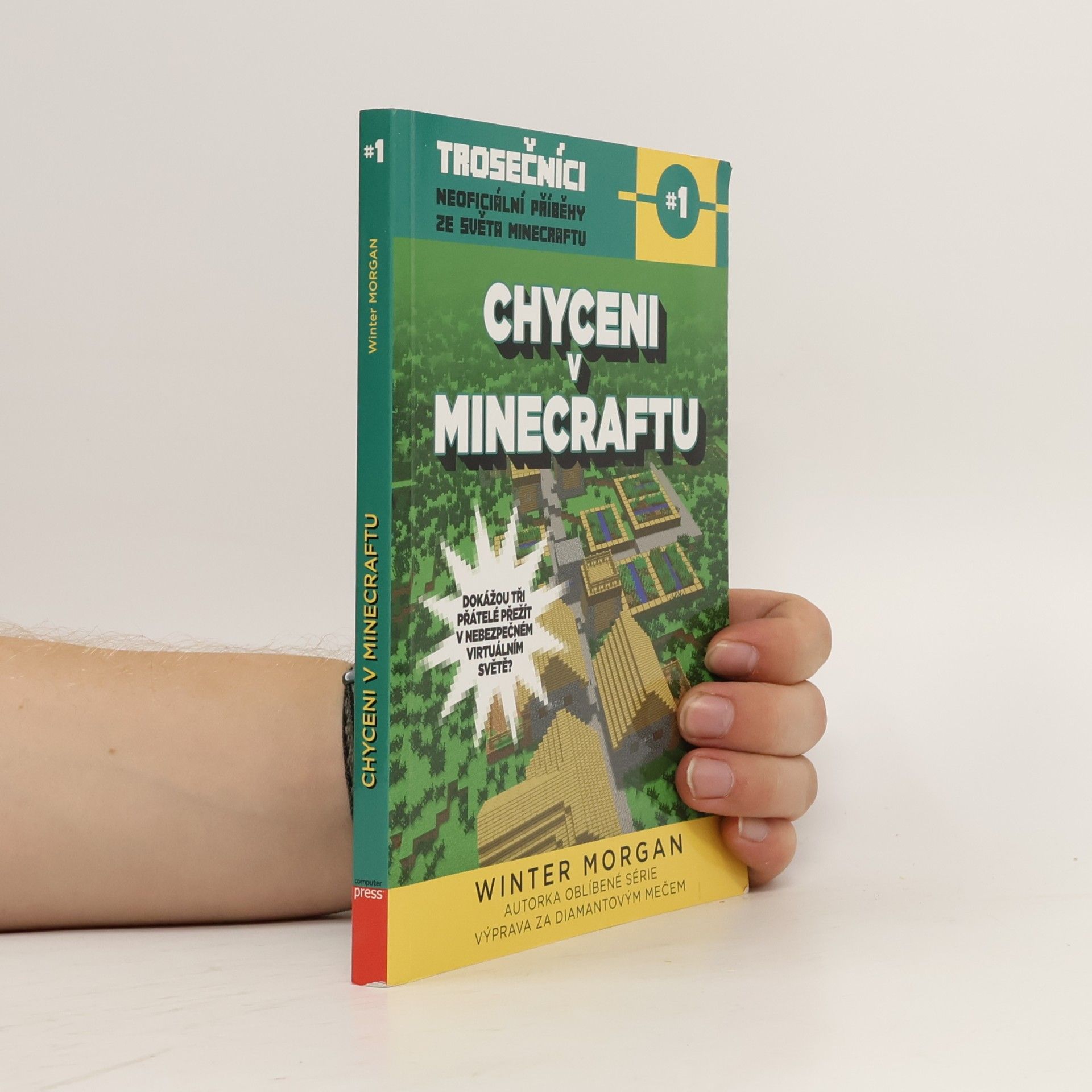 Winter Morgan Trosečníci. Kniha první, Chyceni v Minecraftu