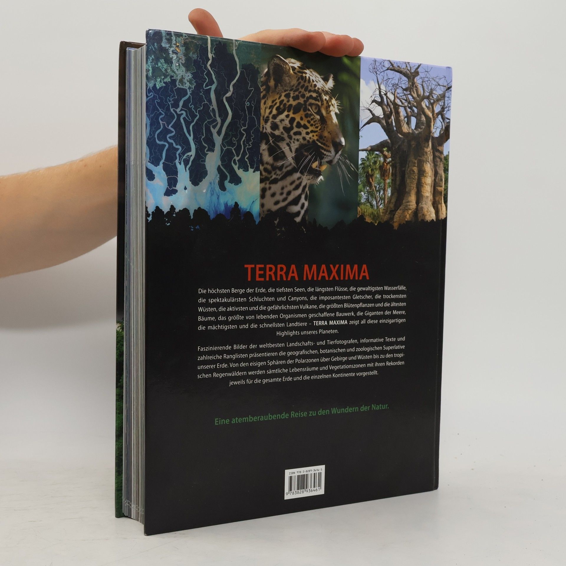 Terra maxima
