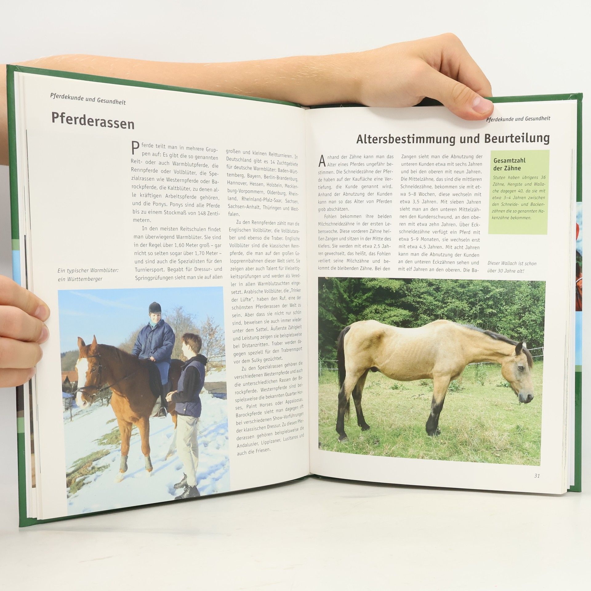 Silke Behling Reitabzeichen und Reiterpass - Lehrbuch zur Prüfungsvorbereitung
