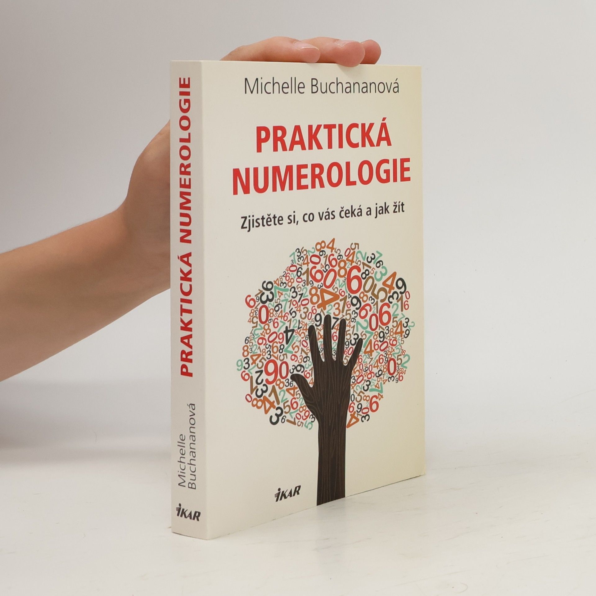 Michelle Buchanan Praktická numerologie