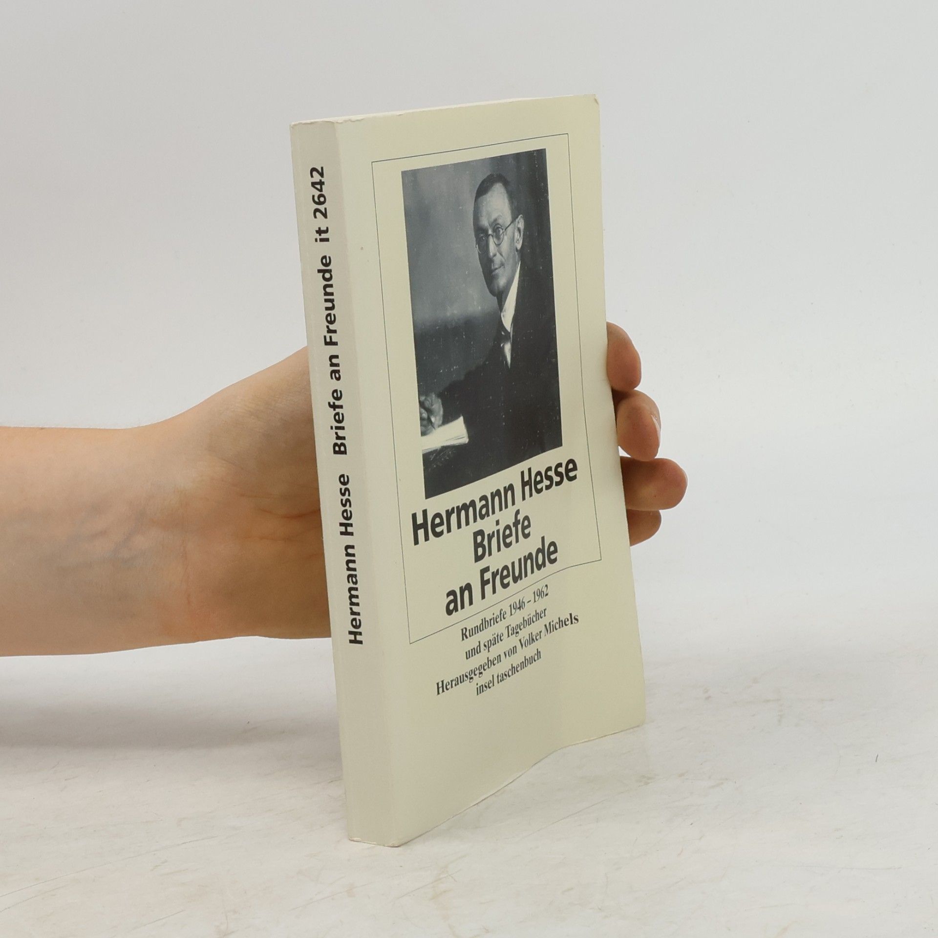 Hermann Hesse Briefe an Freunde