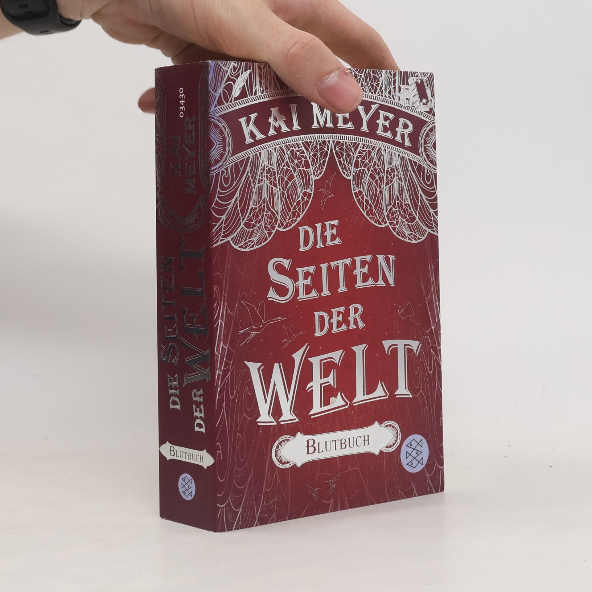 Kai Meyer Die Seiten der Welt - Blutbuch