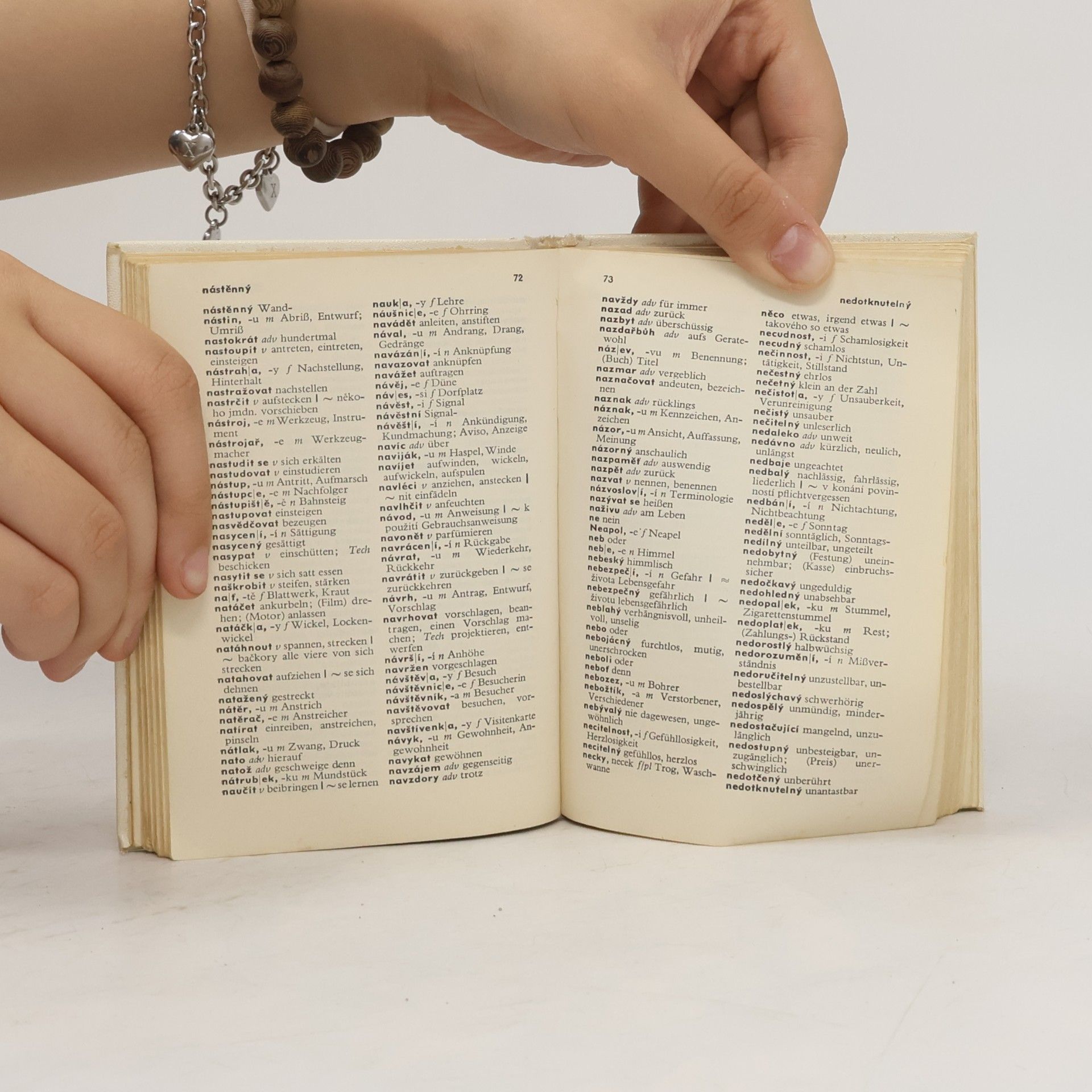 Rudolf Fischer-Wollpert Taschenwörterbuch: Tschechisch-Deutsch