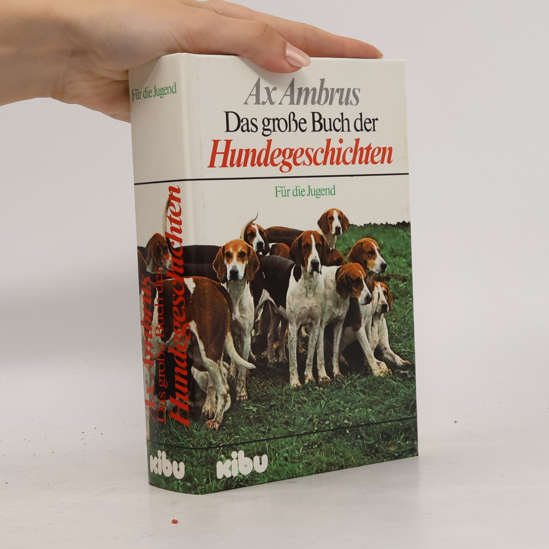 Ax Ambrus Das grosse Buch der Hundegeschichten