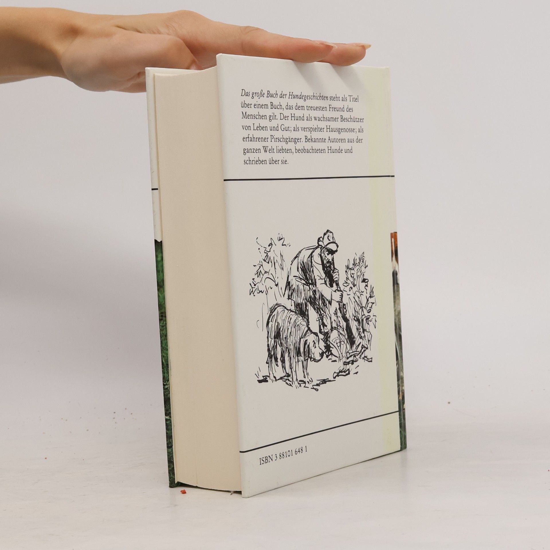 Ax Ambrus Das grosse Buch der Hundegeschichten
