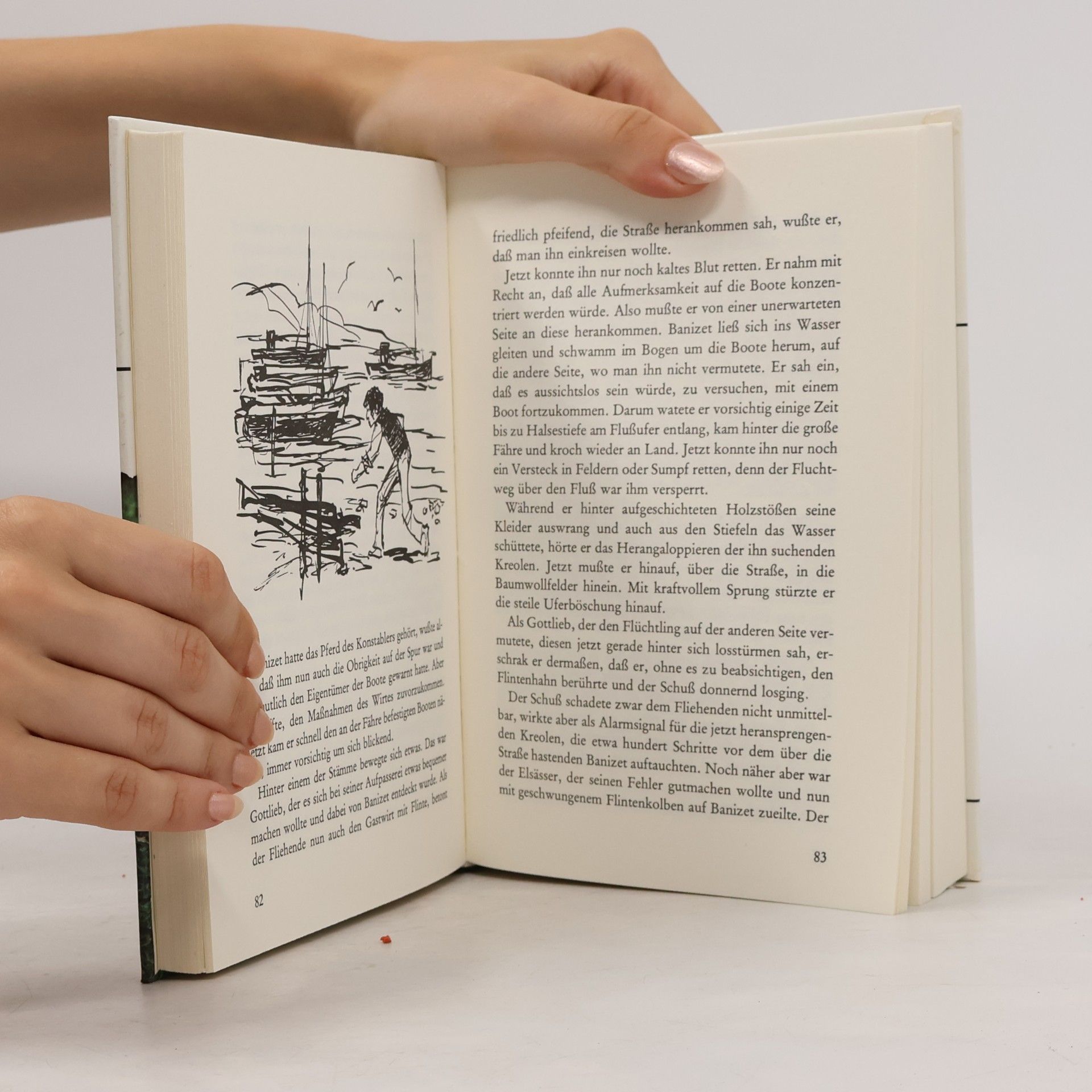 Ax Ambrus Das grosse Buch der Hundegeschichten
