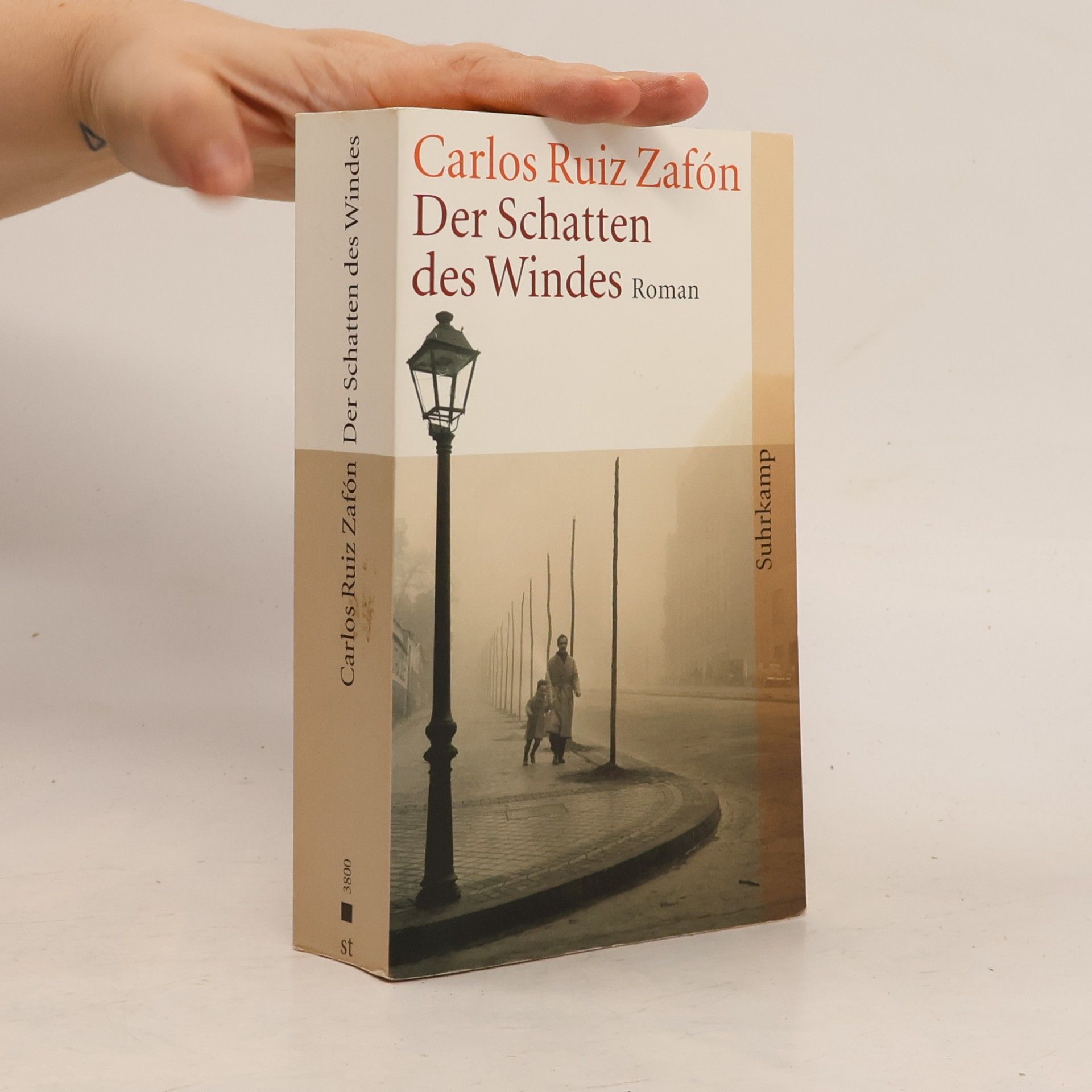 Carlos Ruiz Safon Der Schatten des Windes
