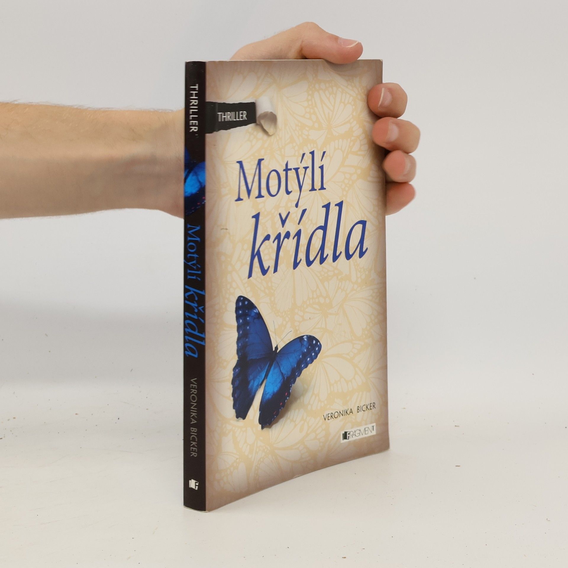 Motýlí křídla