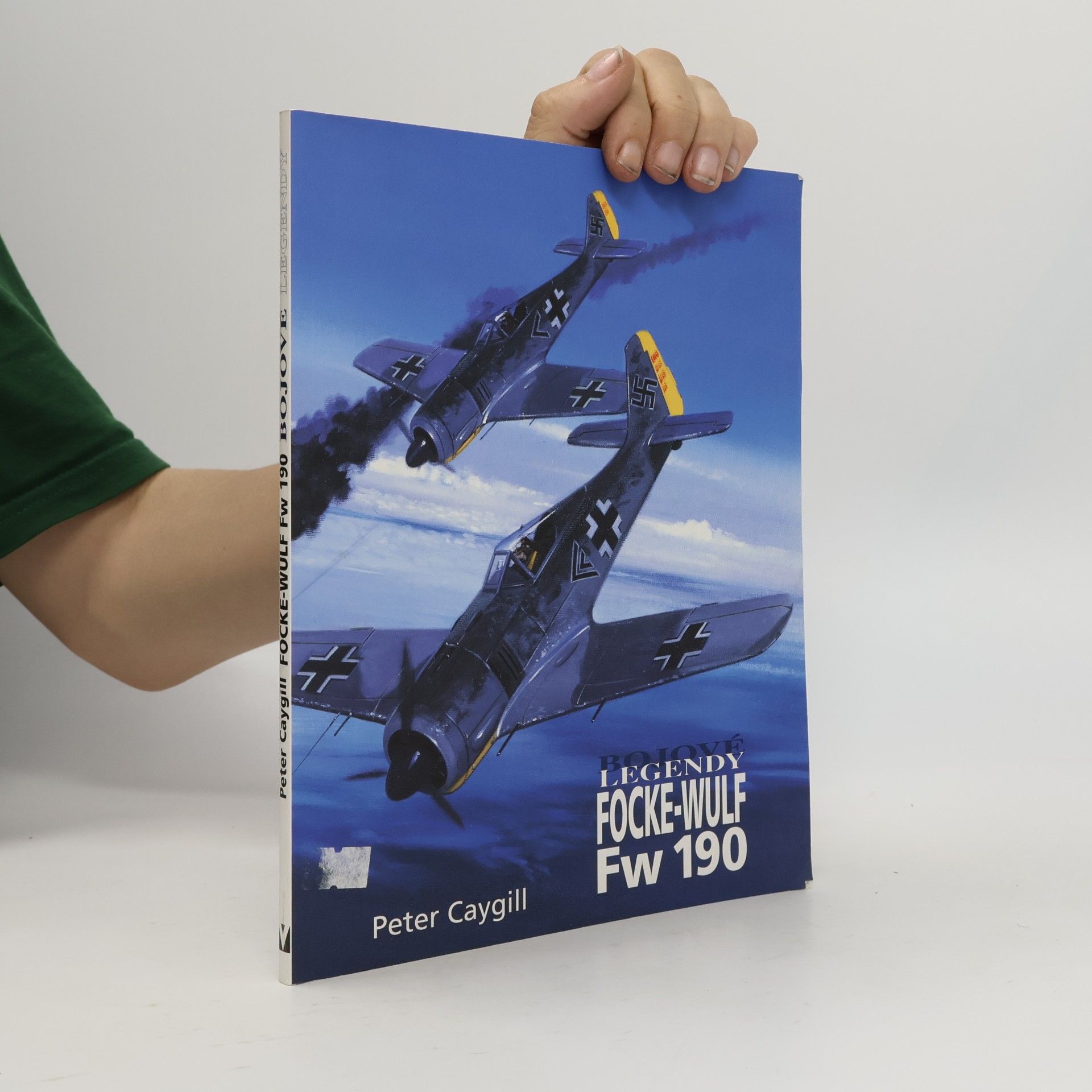 Peter Caygill Focke-Wulf Fw 190