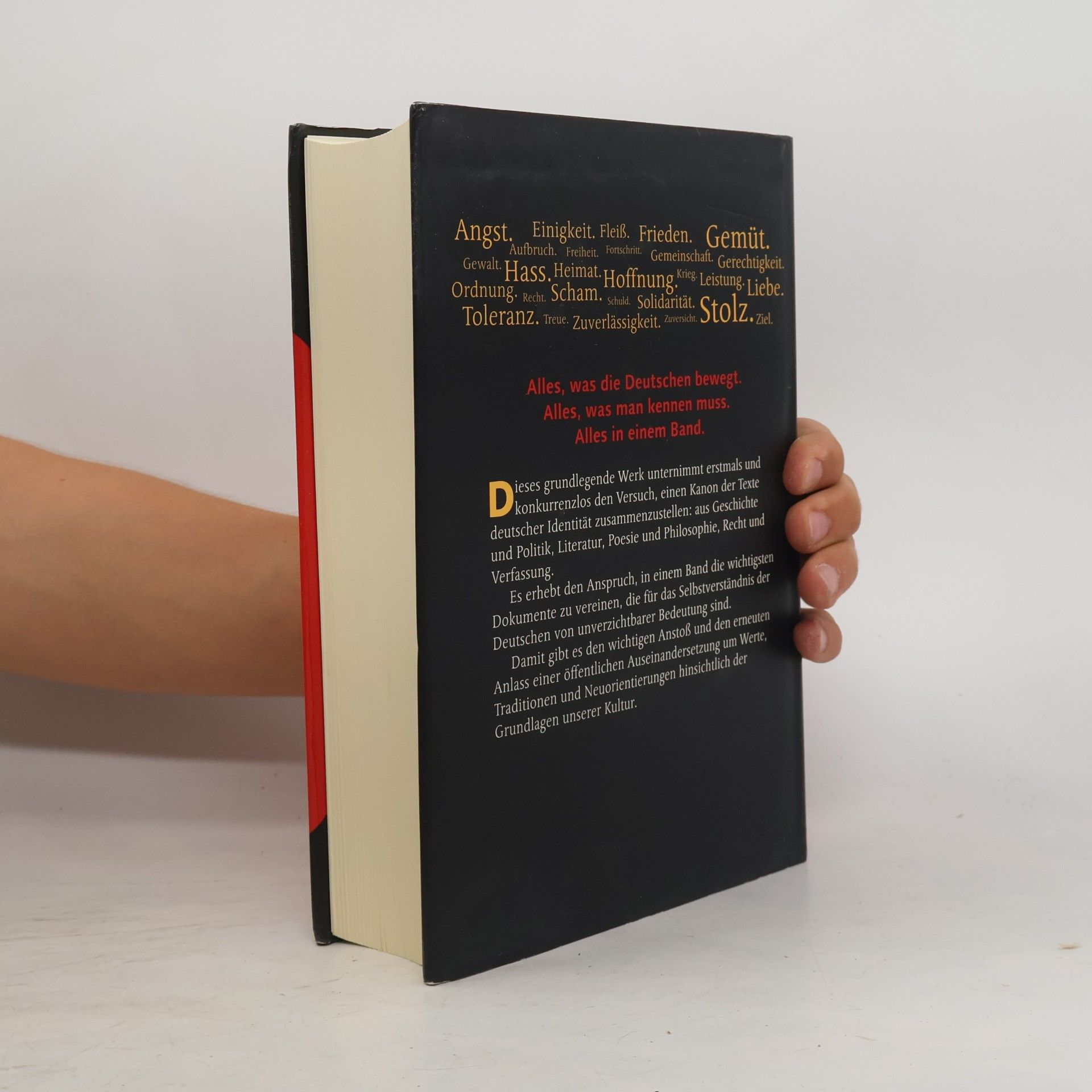 Johannes Thiele Das Buch der Deutschen