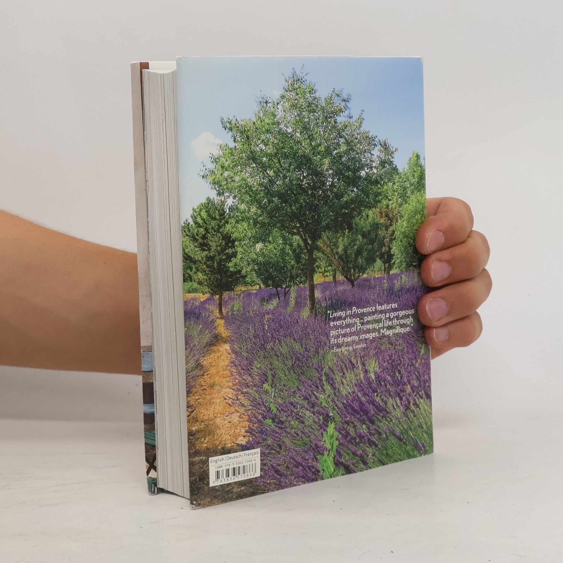 Barbara Stoeltie Living in Provence