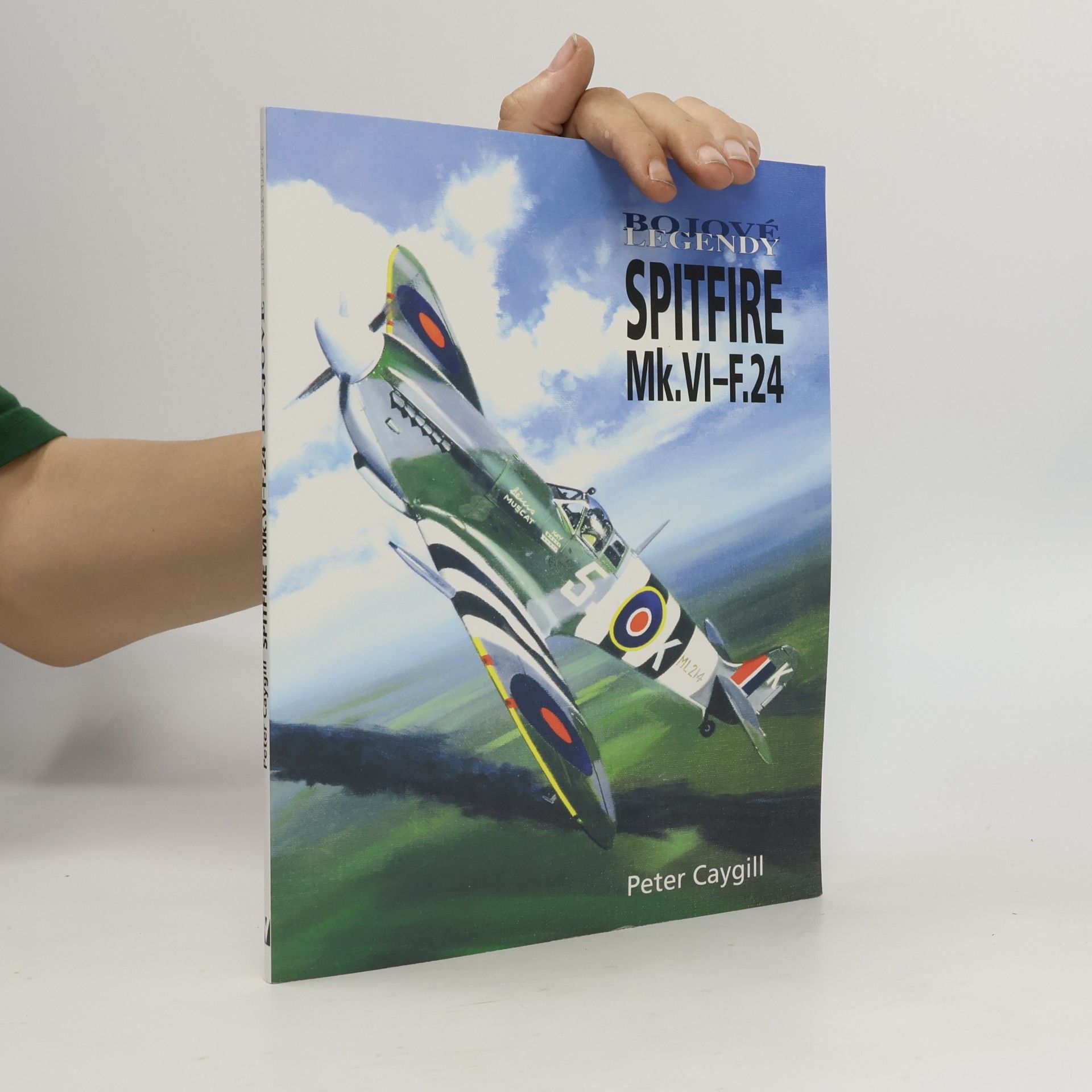 Peter Caygill Spitfire Mk.VI-F.24