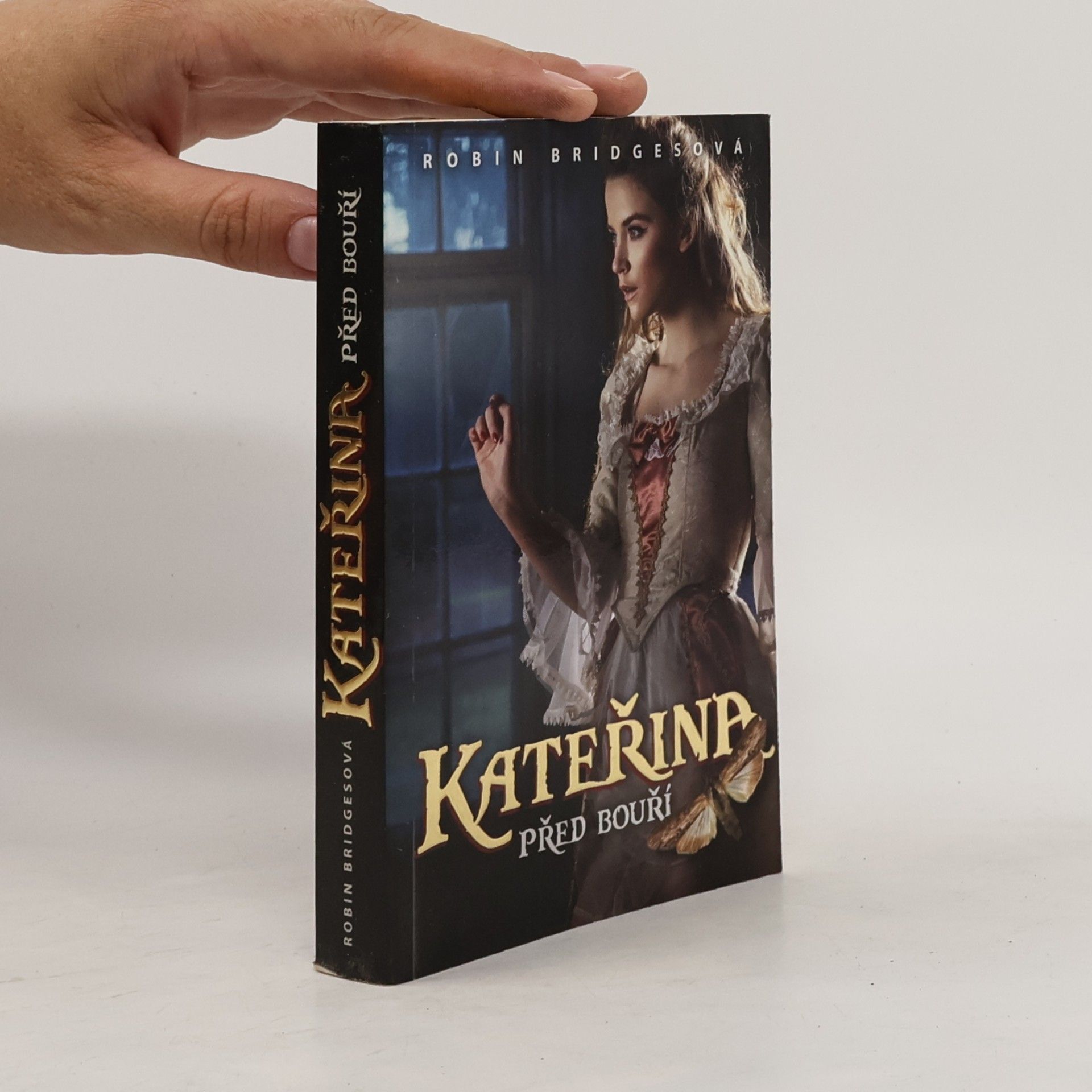 Robin Bridges Kateřina: Před bouří (kniha první)
