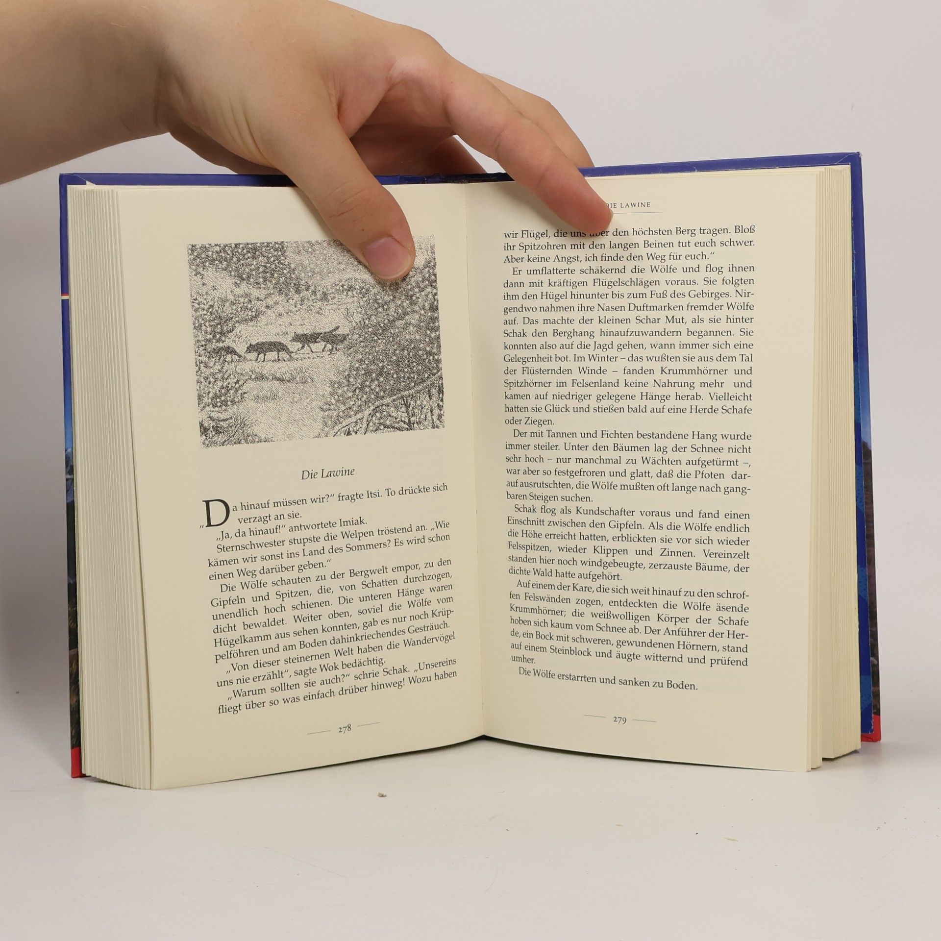 Käthe Recheis Wolfsaga