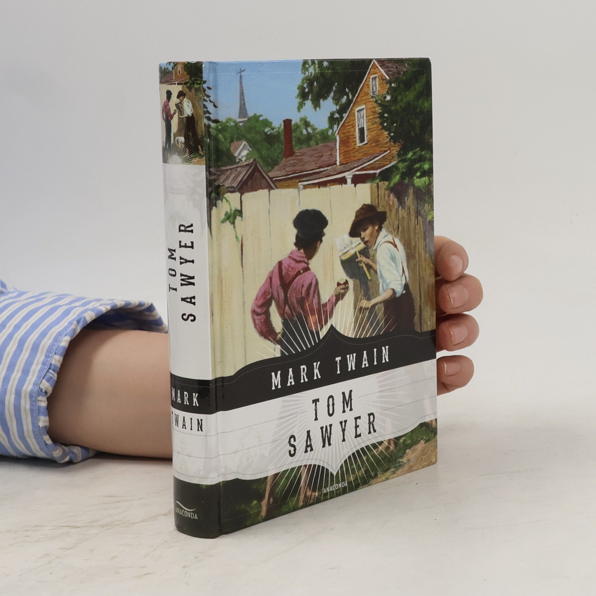 Mark Twain Tom Sawyers Abenteuer