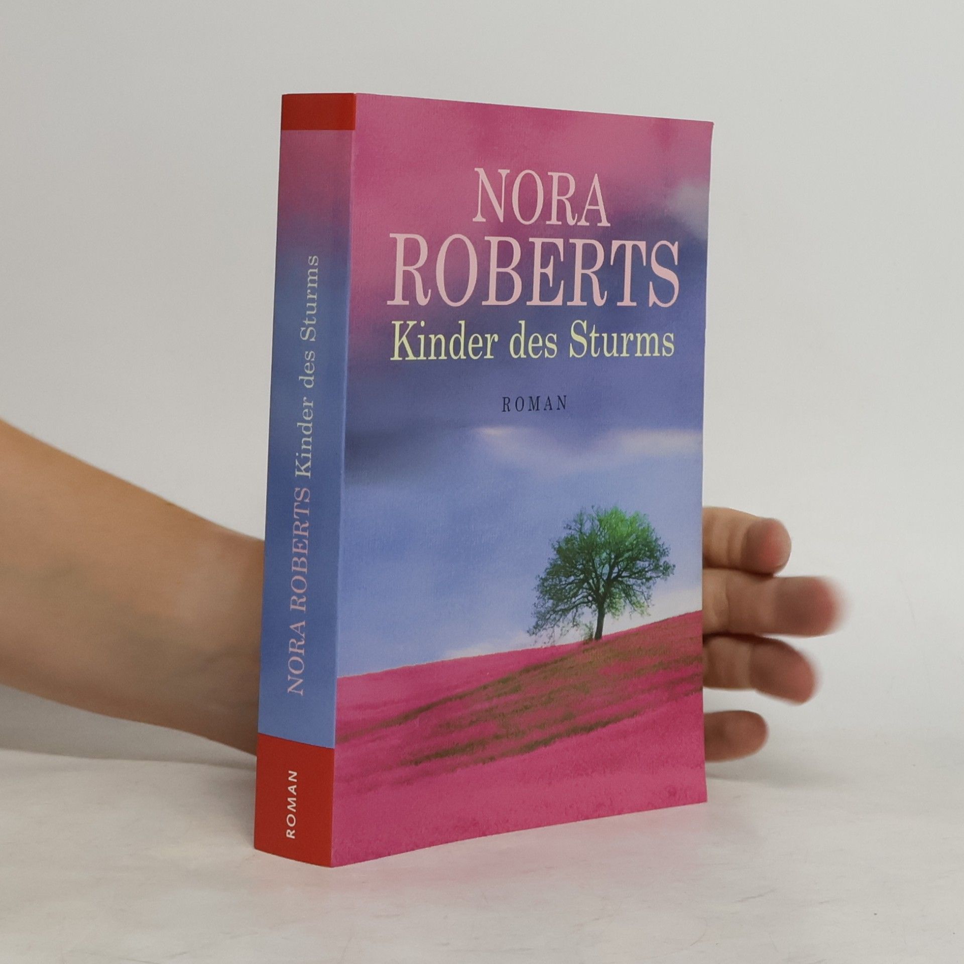 Nora Roberts Kinder des Sturms