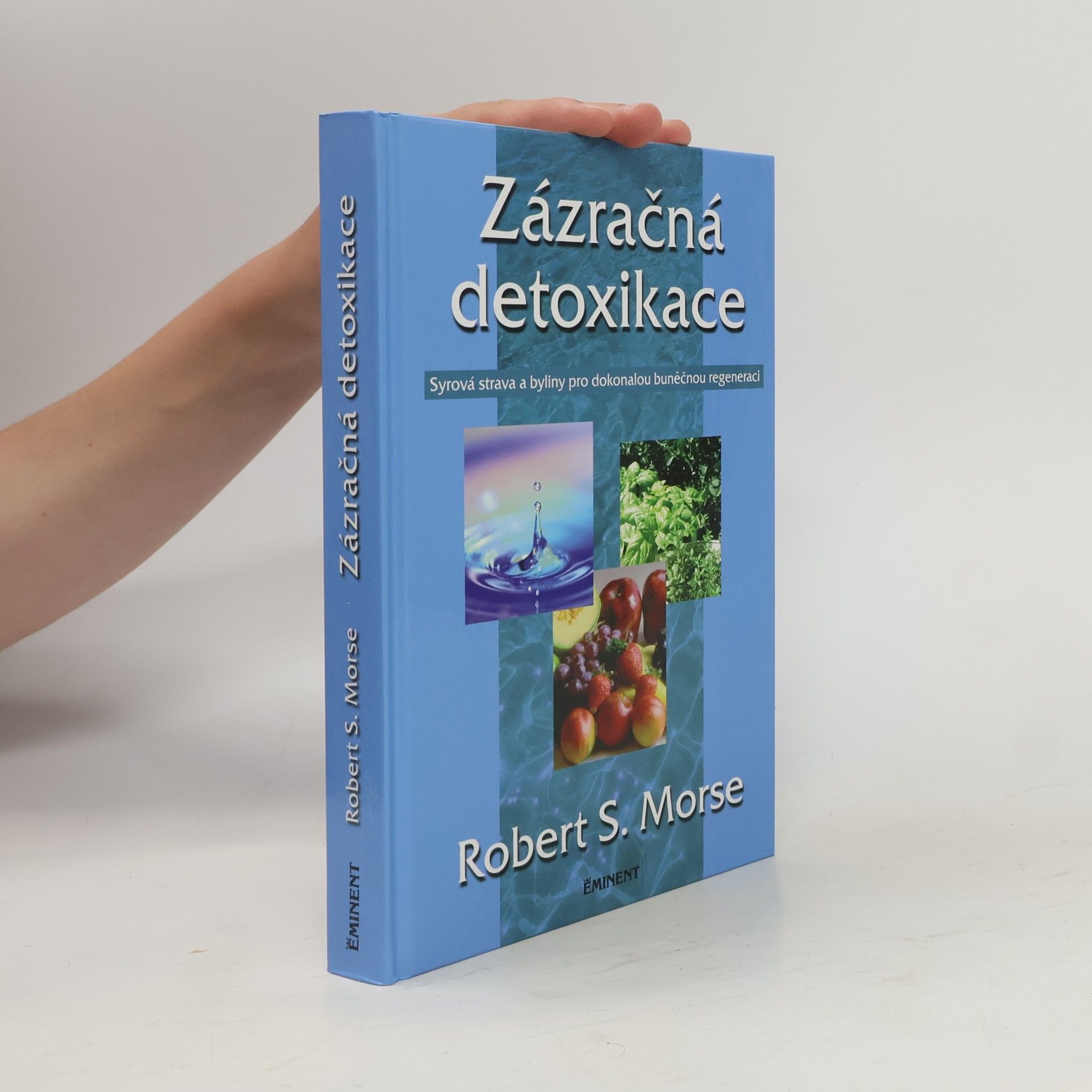 Robert Morse Zázračná detoxikace