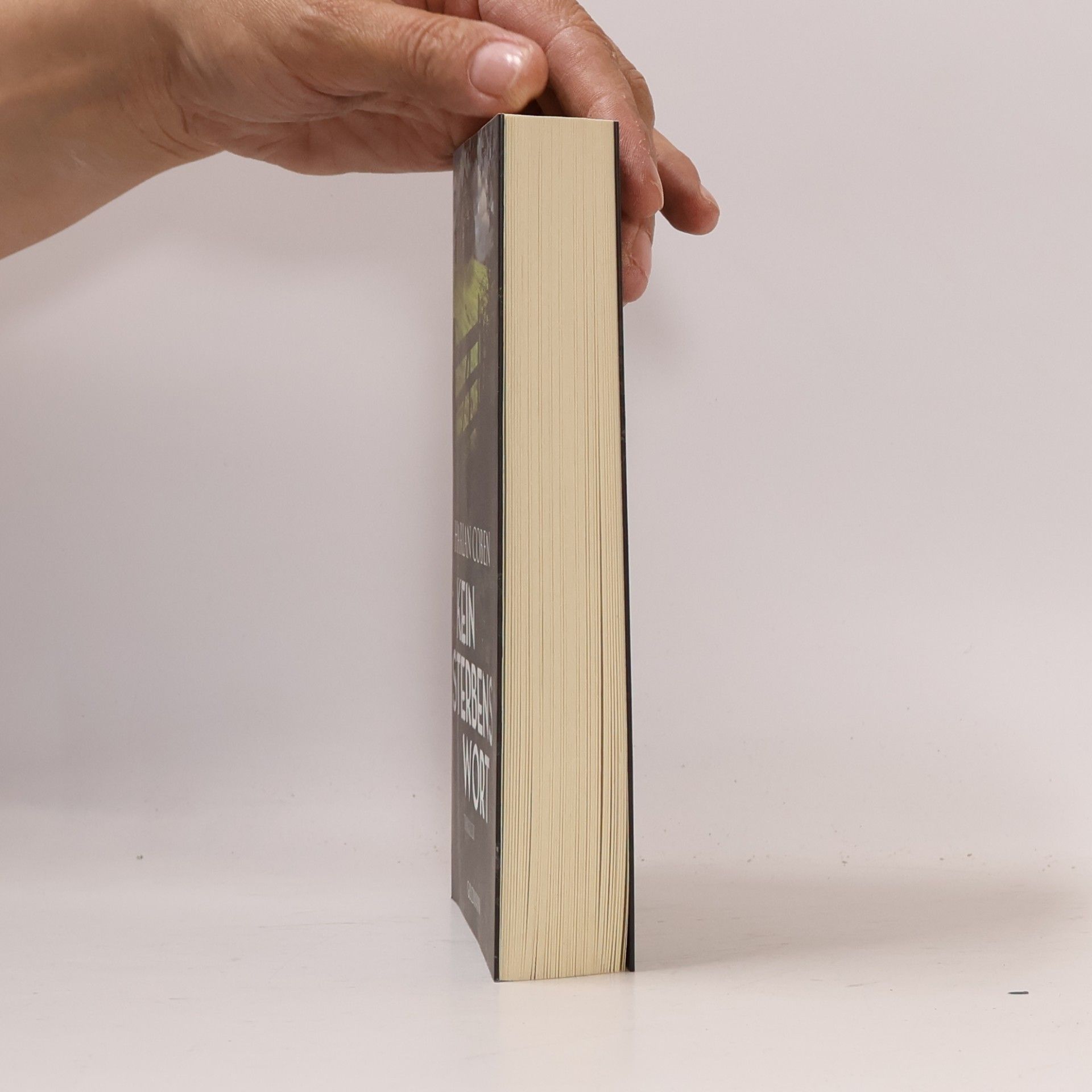 Harlan Coben Kein Sterbenswort