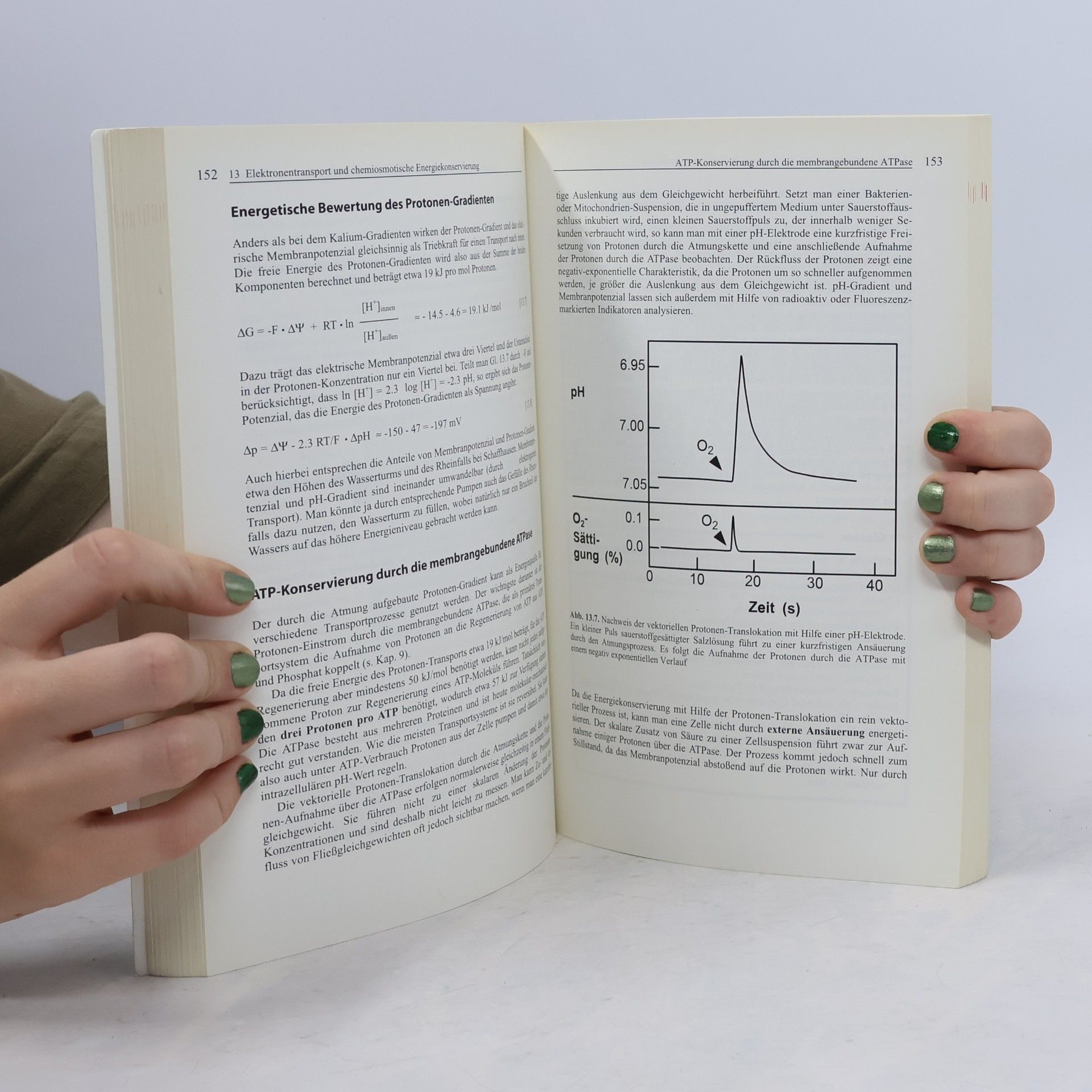 Heribert Cypionka Grundlagen der Mikrobiologie