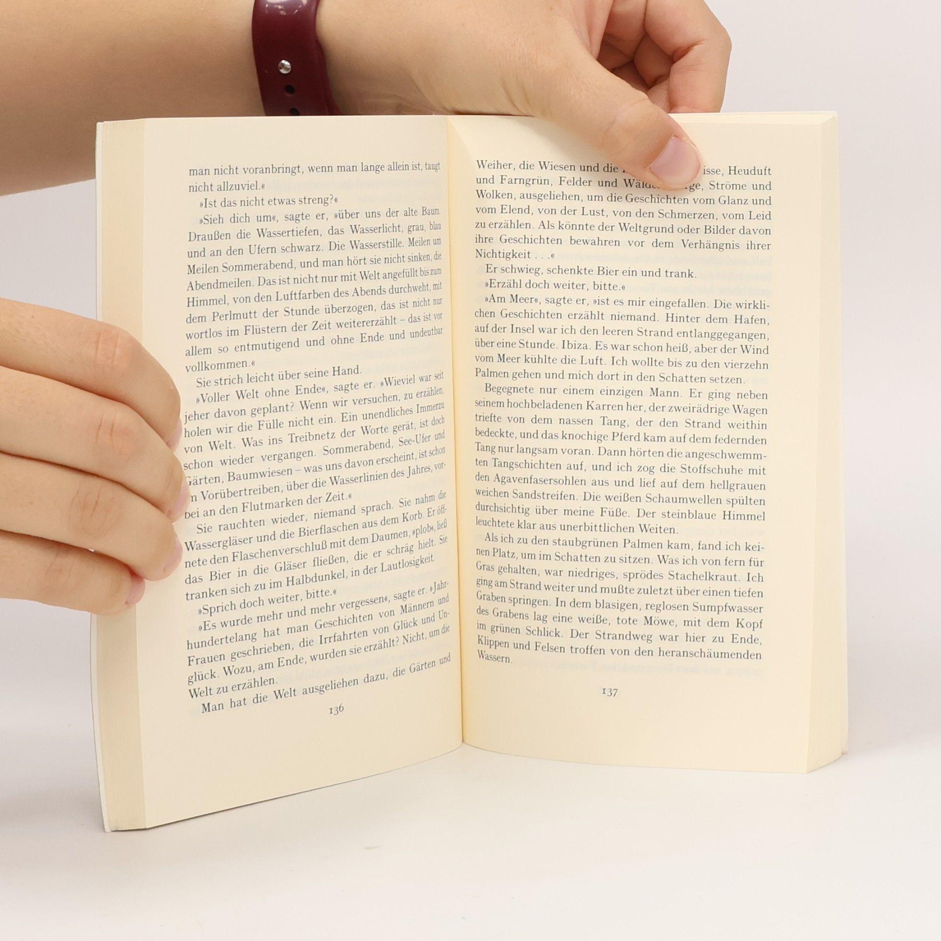 Hans Bender Das Sommerbuch