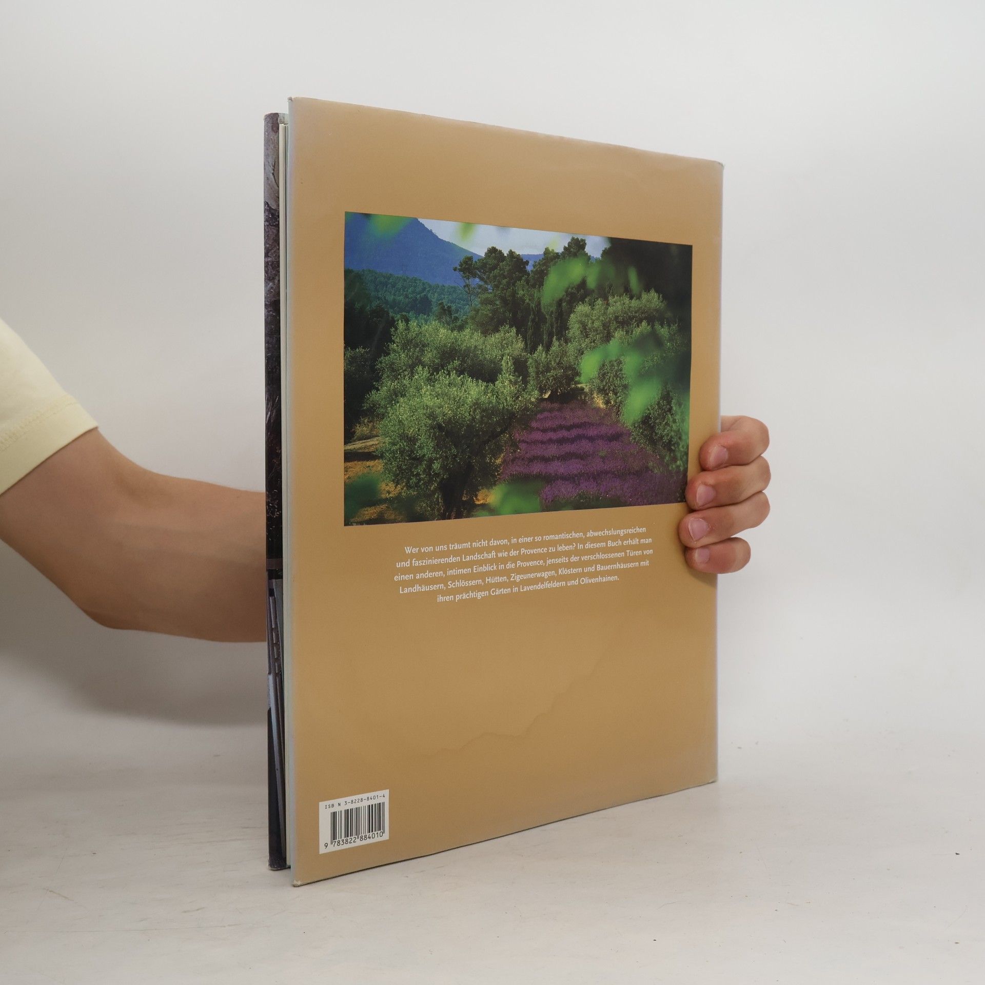 Lisa Lovatt-Smith Interieurs in der Provence