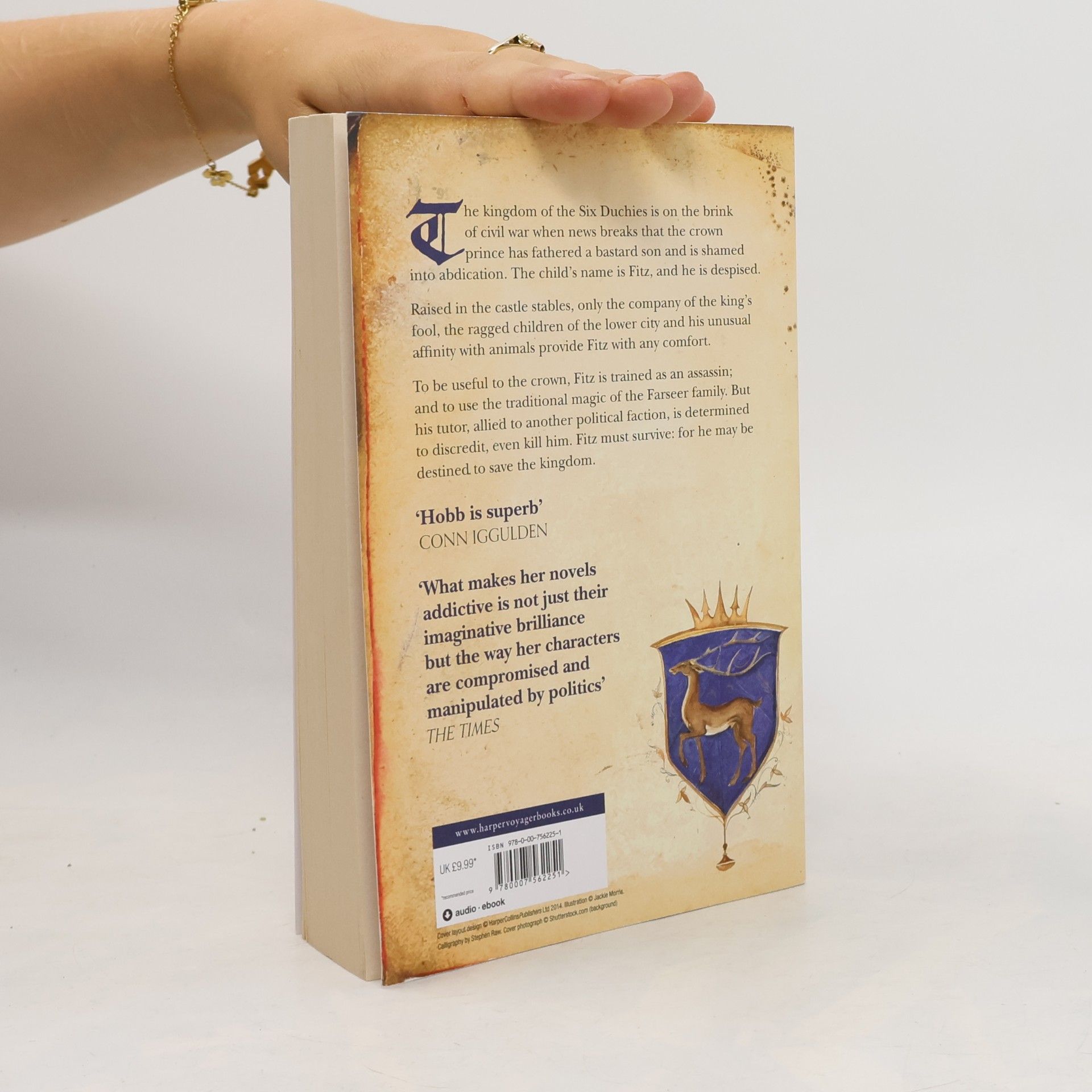 Robin Hobb Assassin's Apprentice