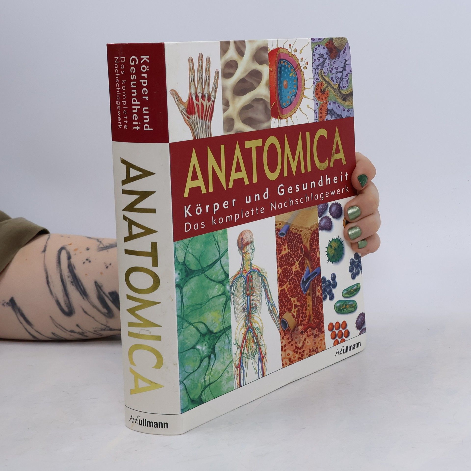 Autorenkollektiv Anatomica. Körper und Gesundheit Das komplette Nachschlagewerk
