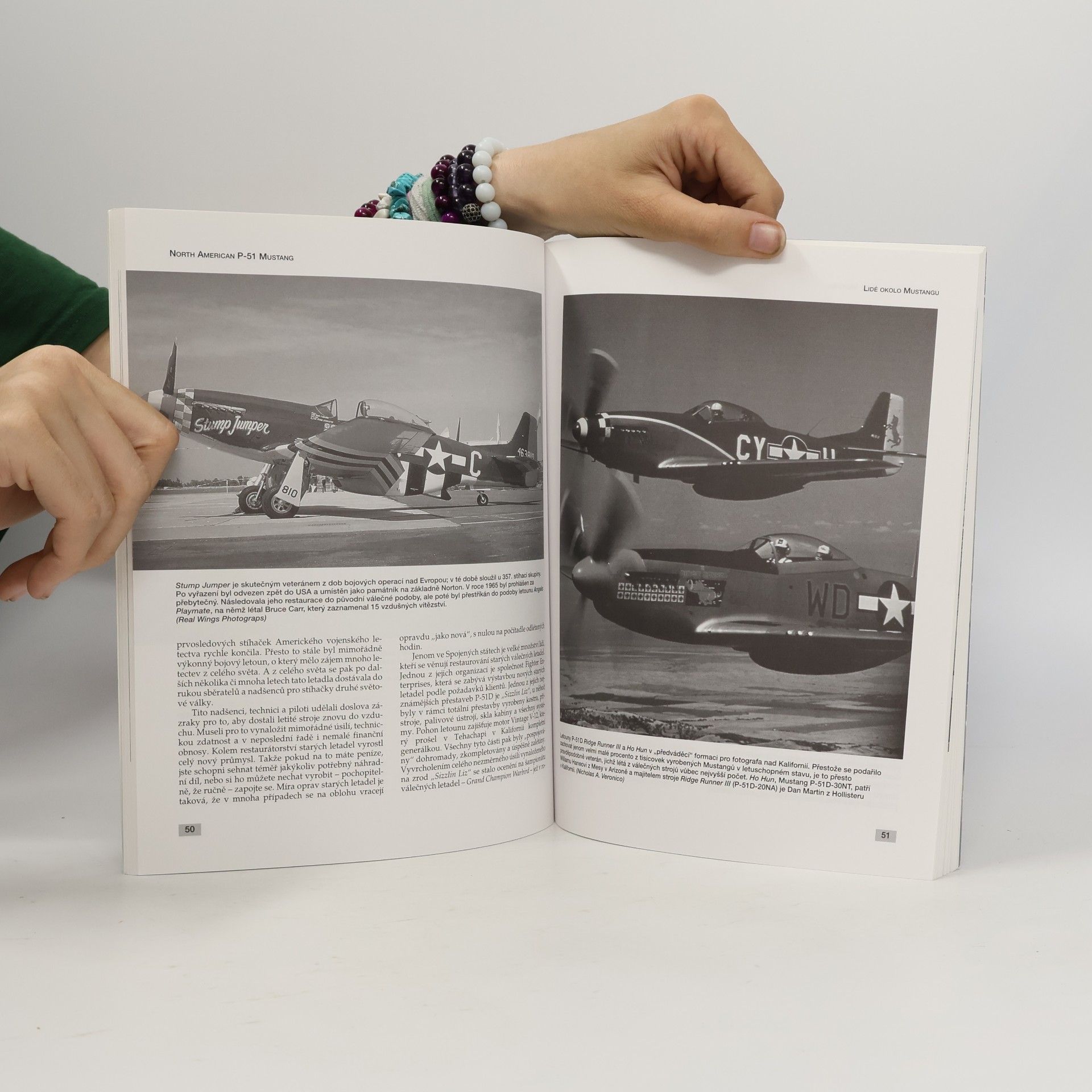 Kev Darling P-51 Mustang