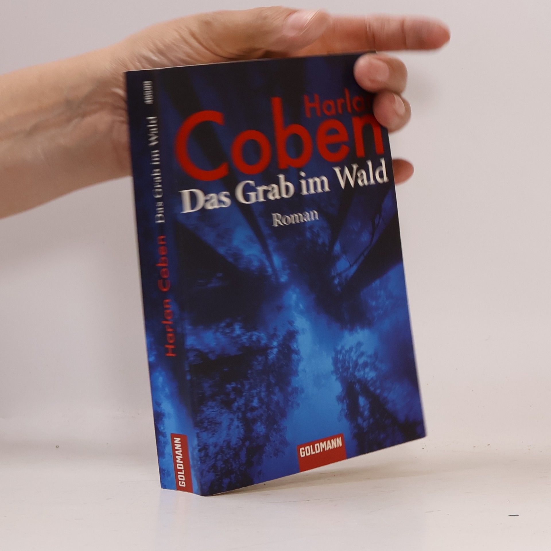 Harlan Coben Das Grab im Wald