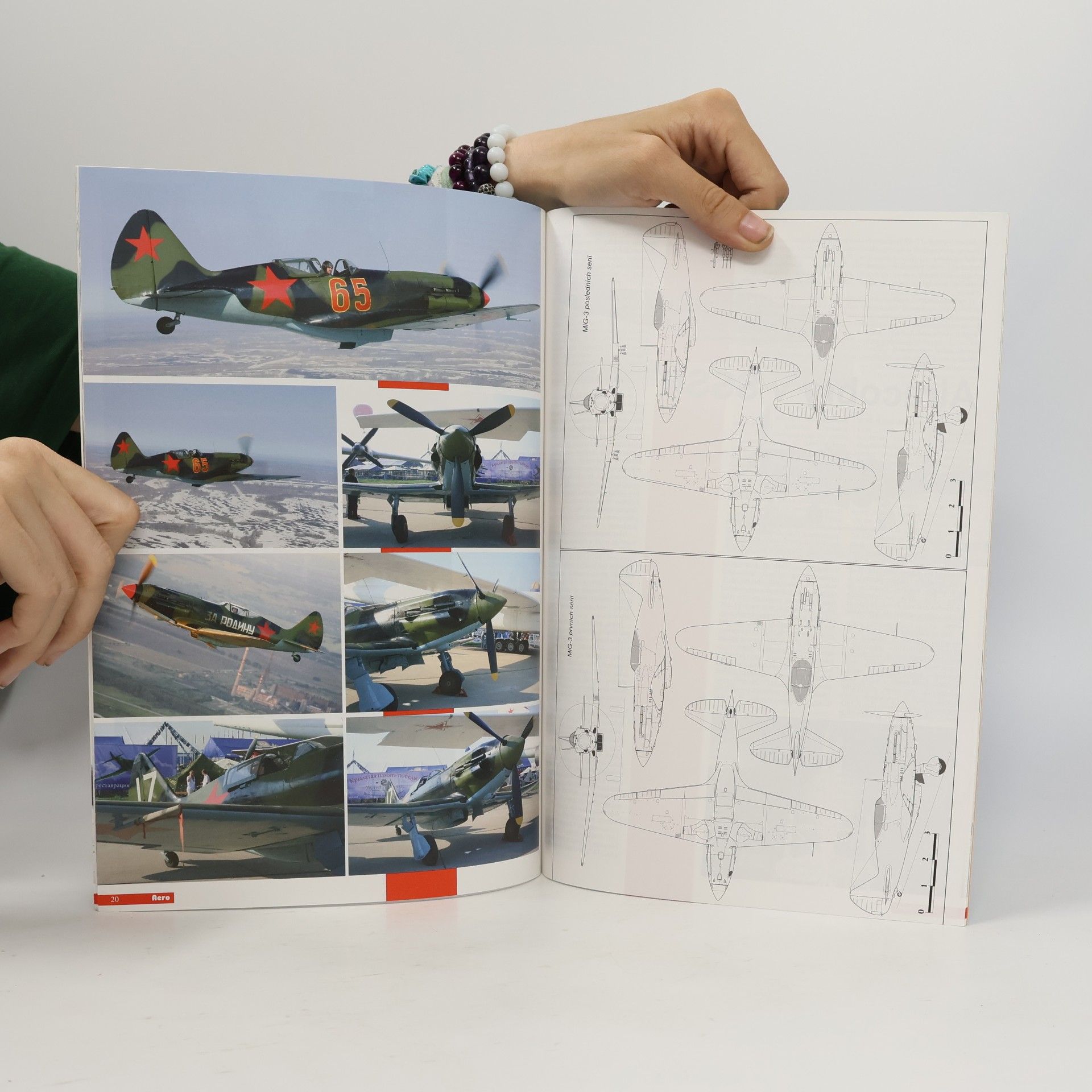 Kolektiv autorů Aero 20 - P-39 Airacobra v SSSR, MiG-3