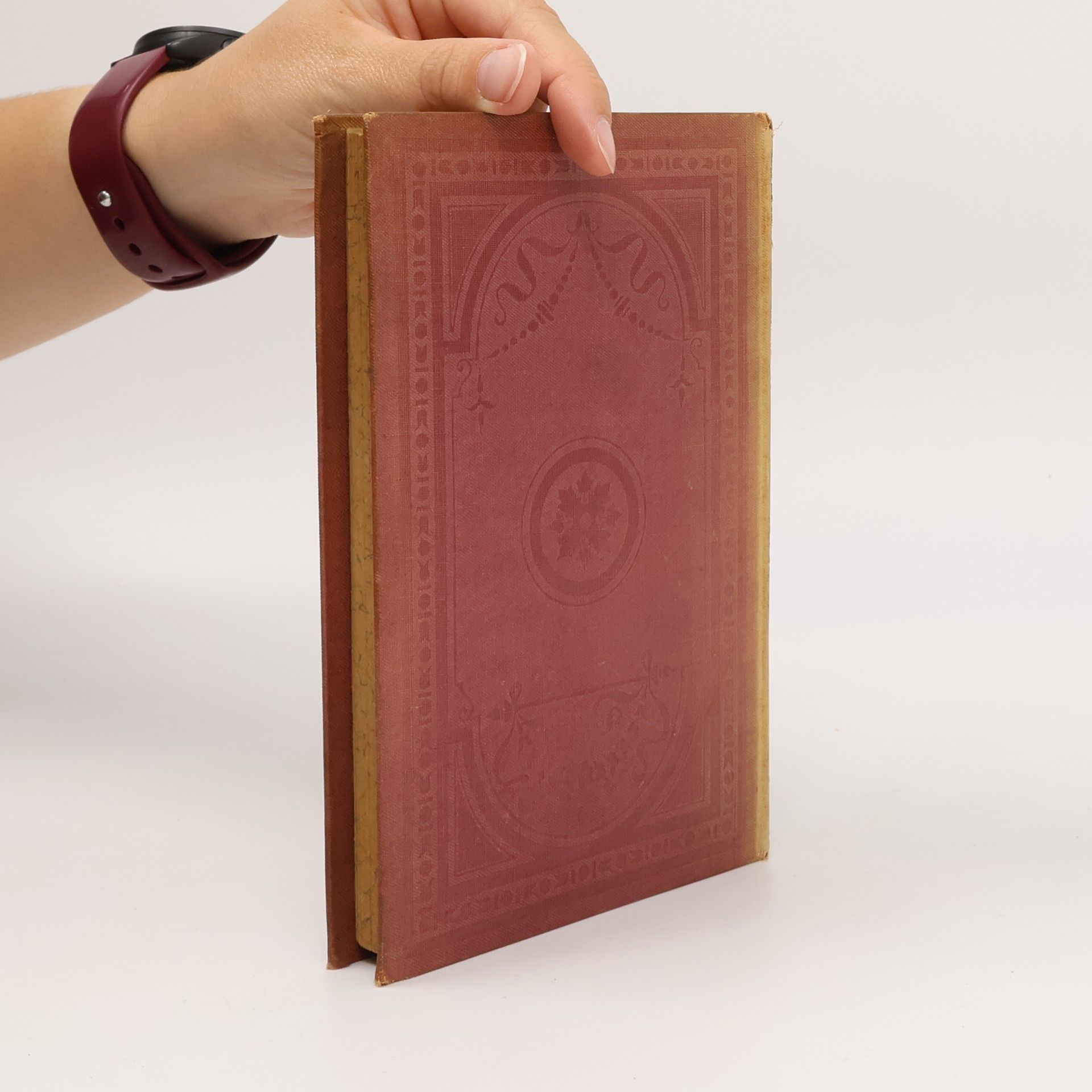 Johann Wolfgang von Goethe Goethes sämtliche Werke 21