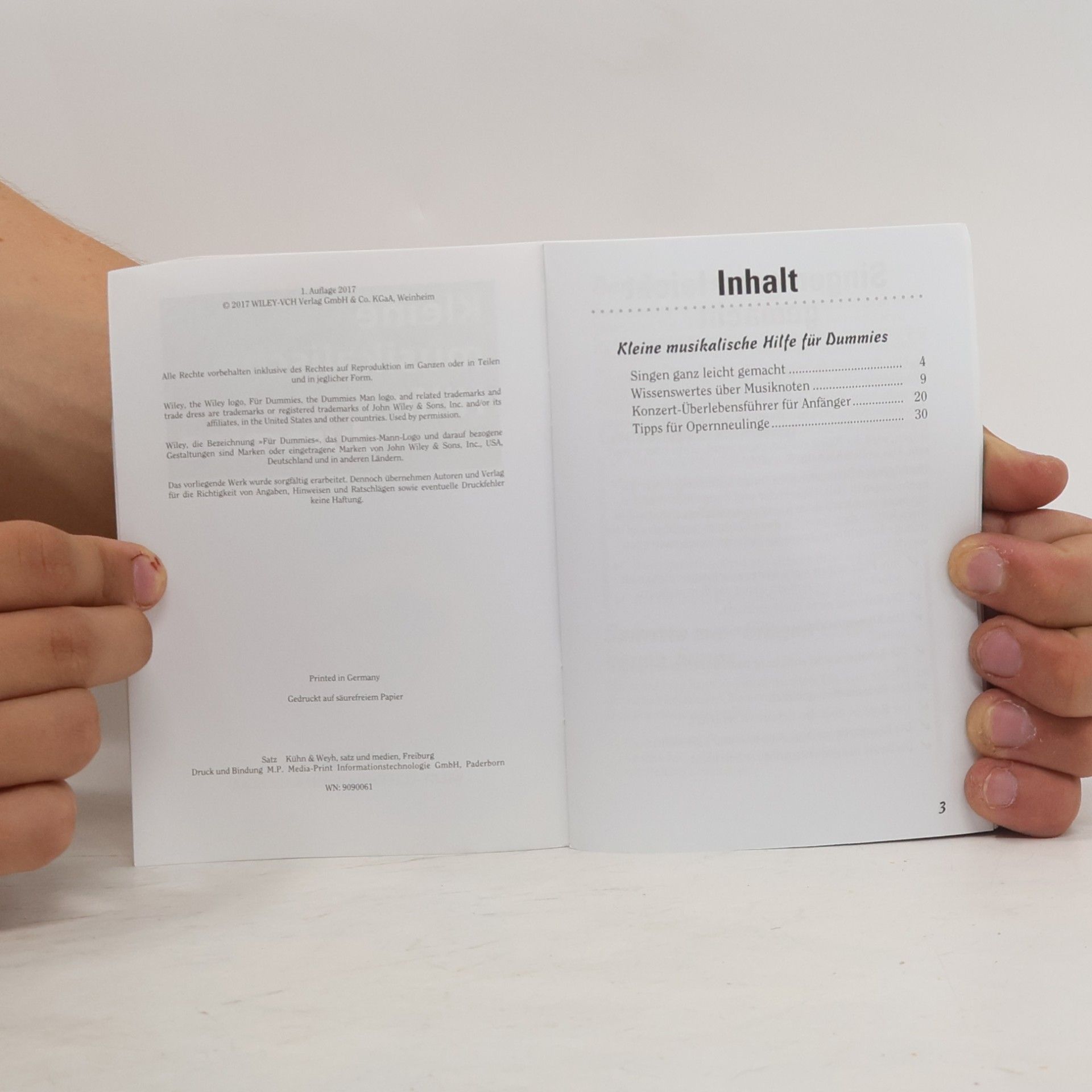 Autorenkollektiv Kleine musikalische Hilfe für dummies