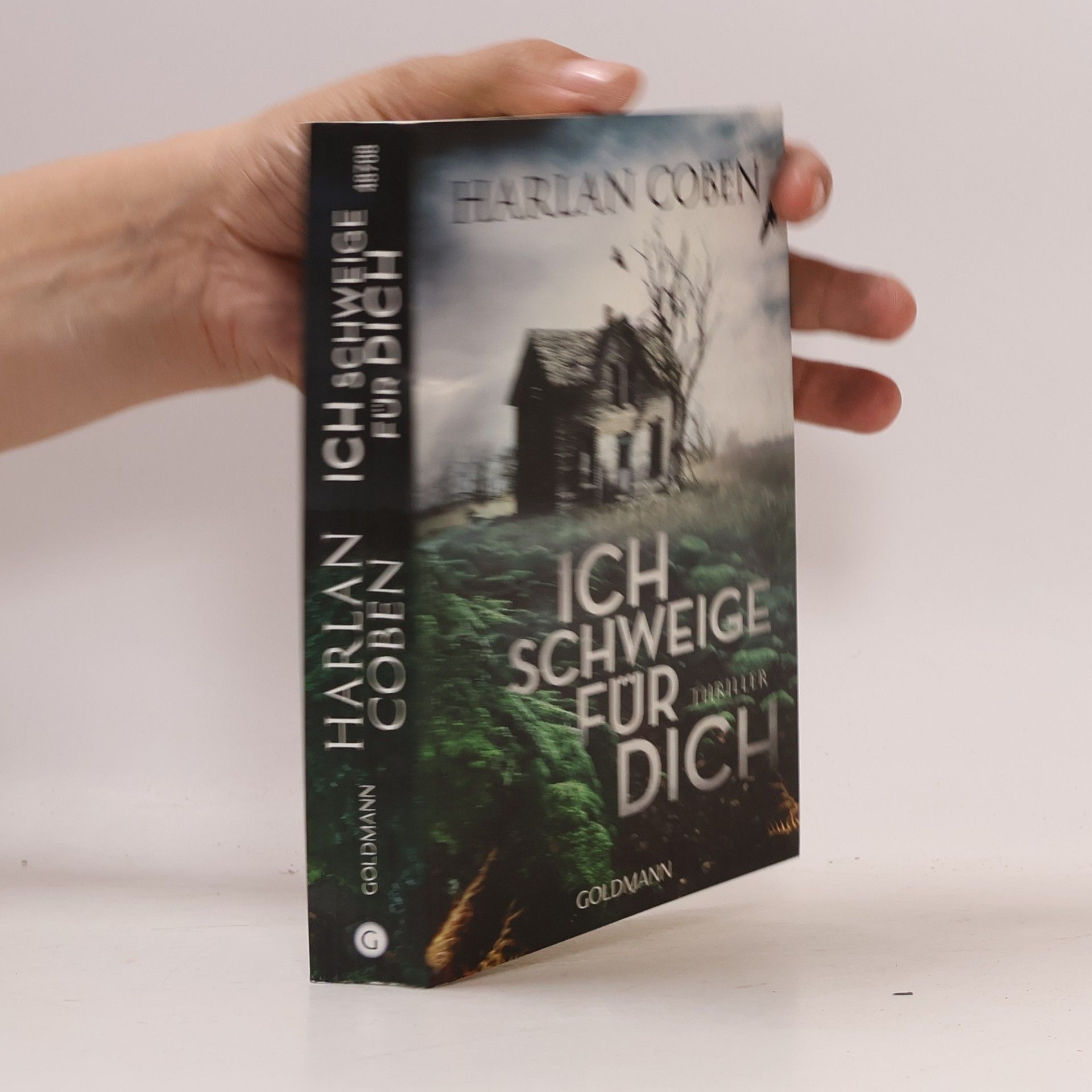 Harlan Coben Ich schweige für dich