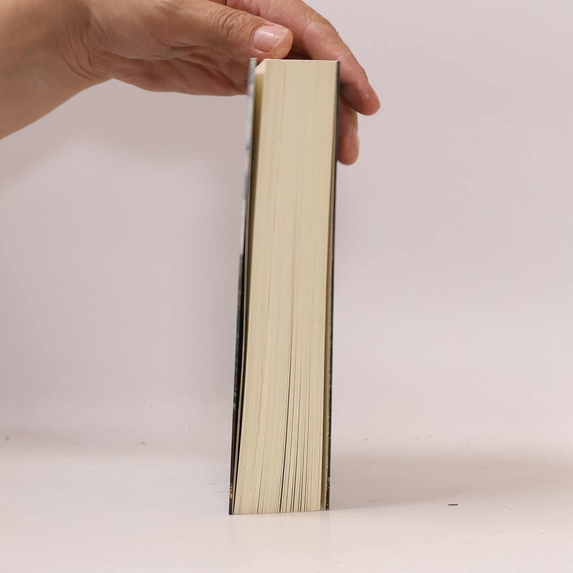 Harlan Coben Ich schweige für dich