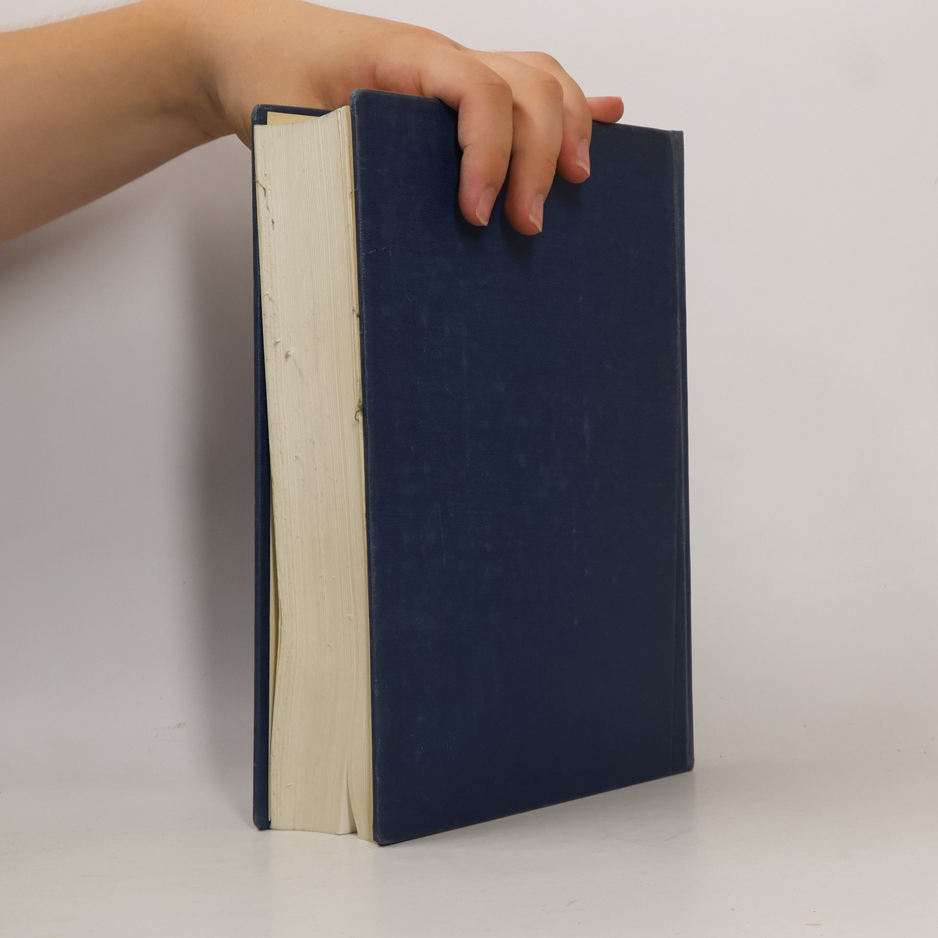 Kolektiv autorů Lehrbuch der Geburtshilfe