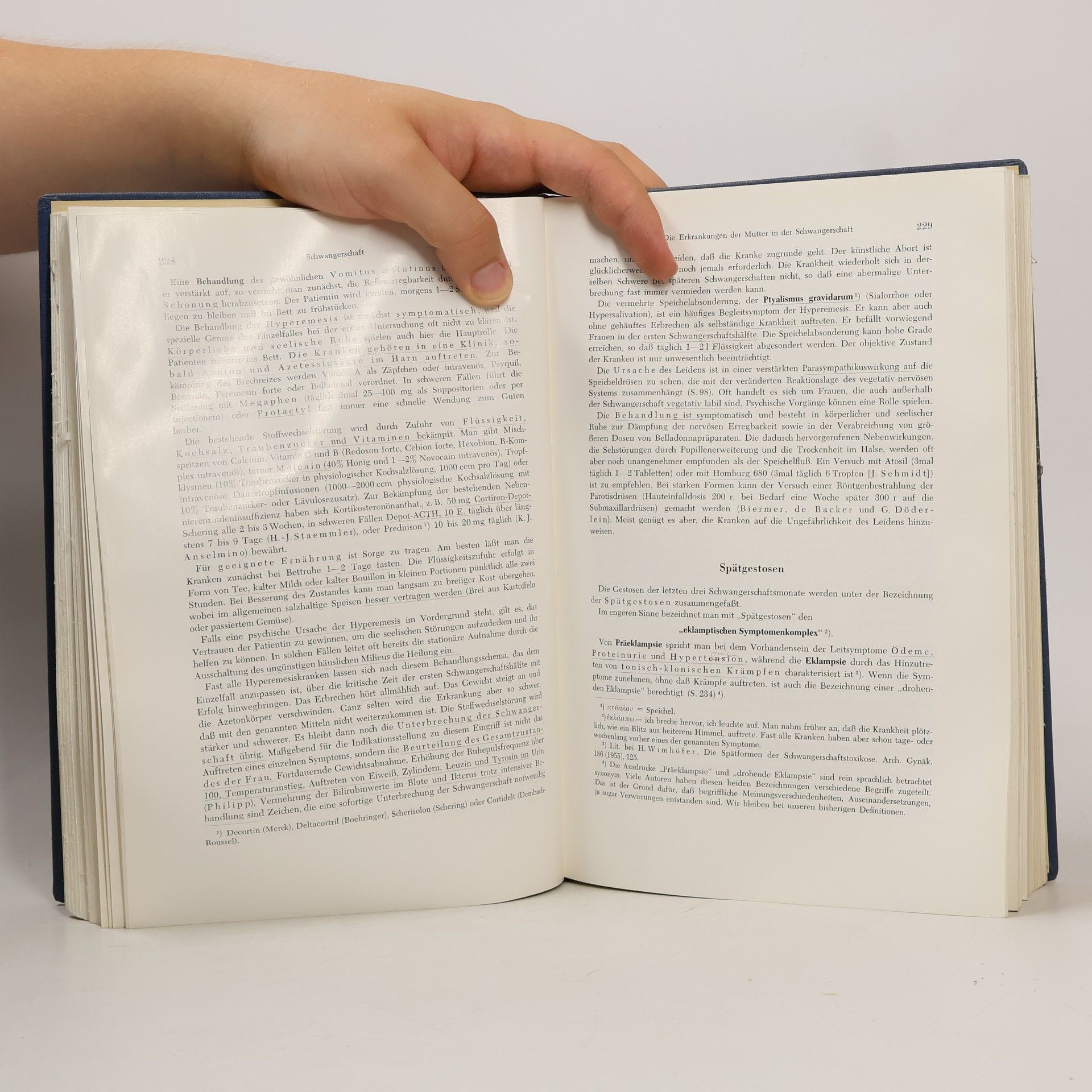 Kolektiv autorů Lehrbuch der Geburtshilfe