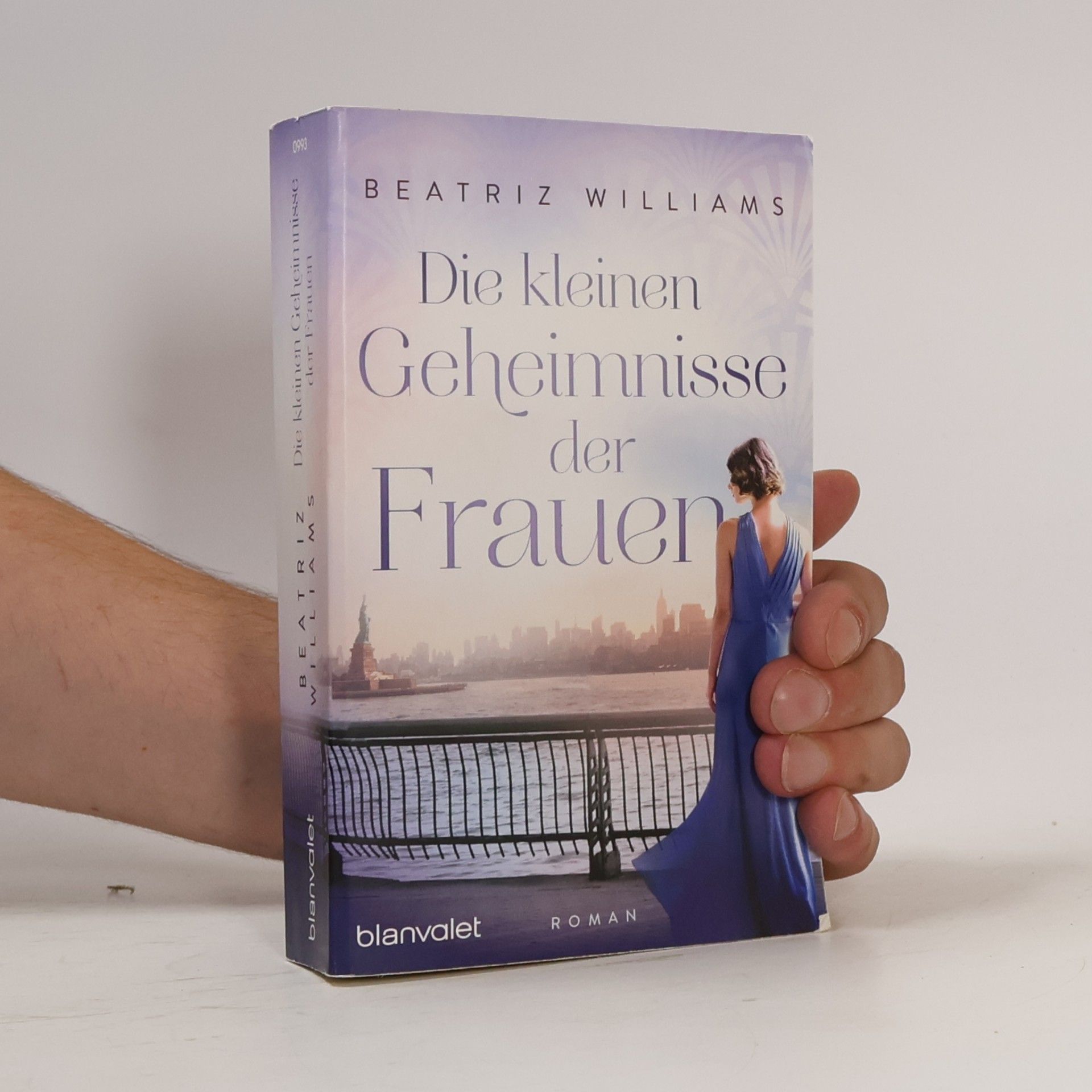 Beatriz Williams Die kleinen Geheimnisse der Frauen