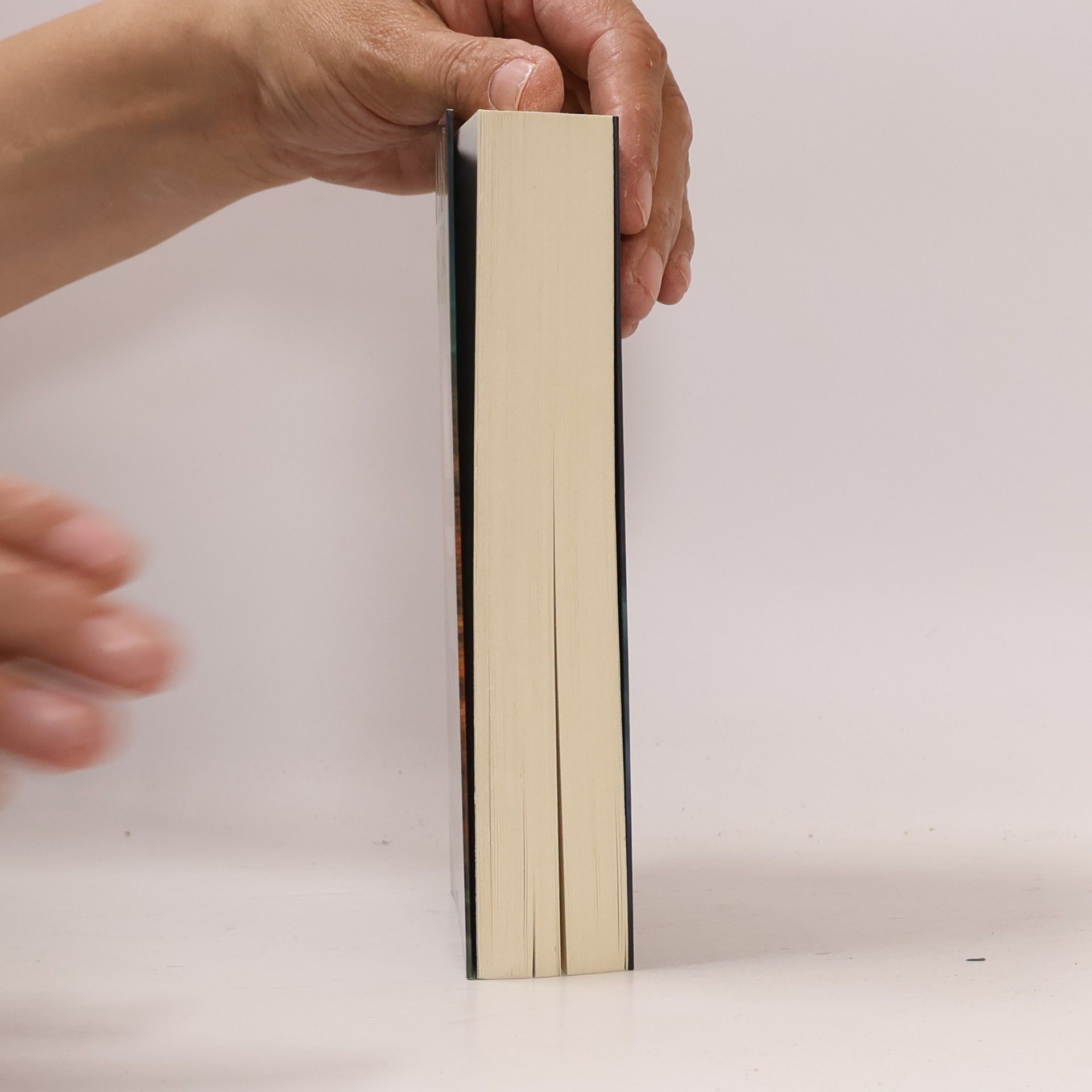 Harlan Coben Der Preis der Lüge