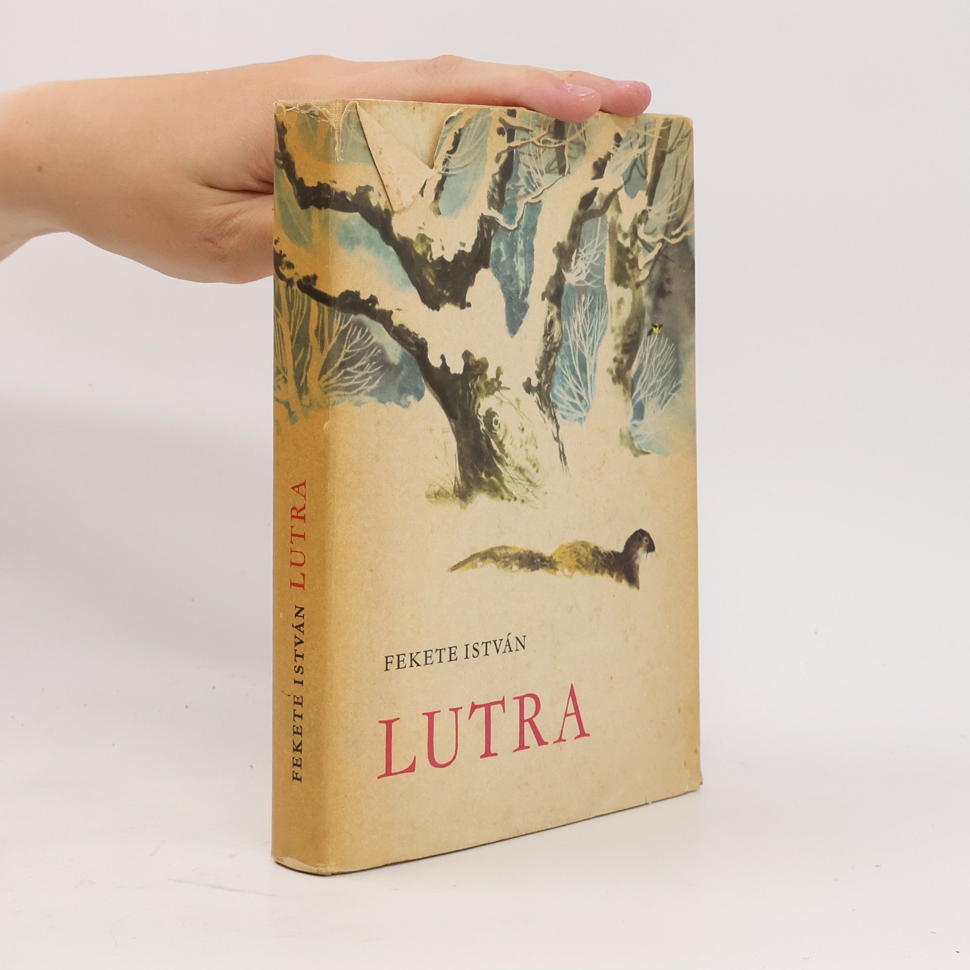 Lutra