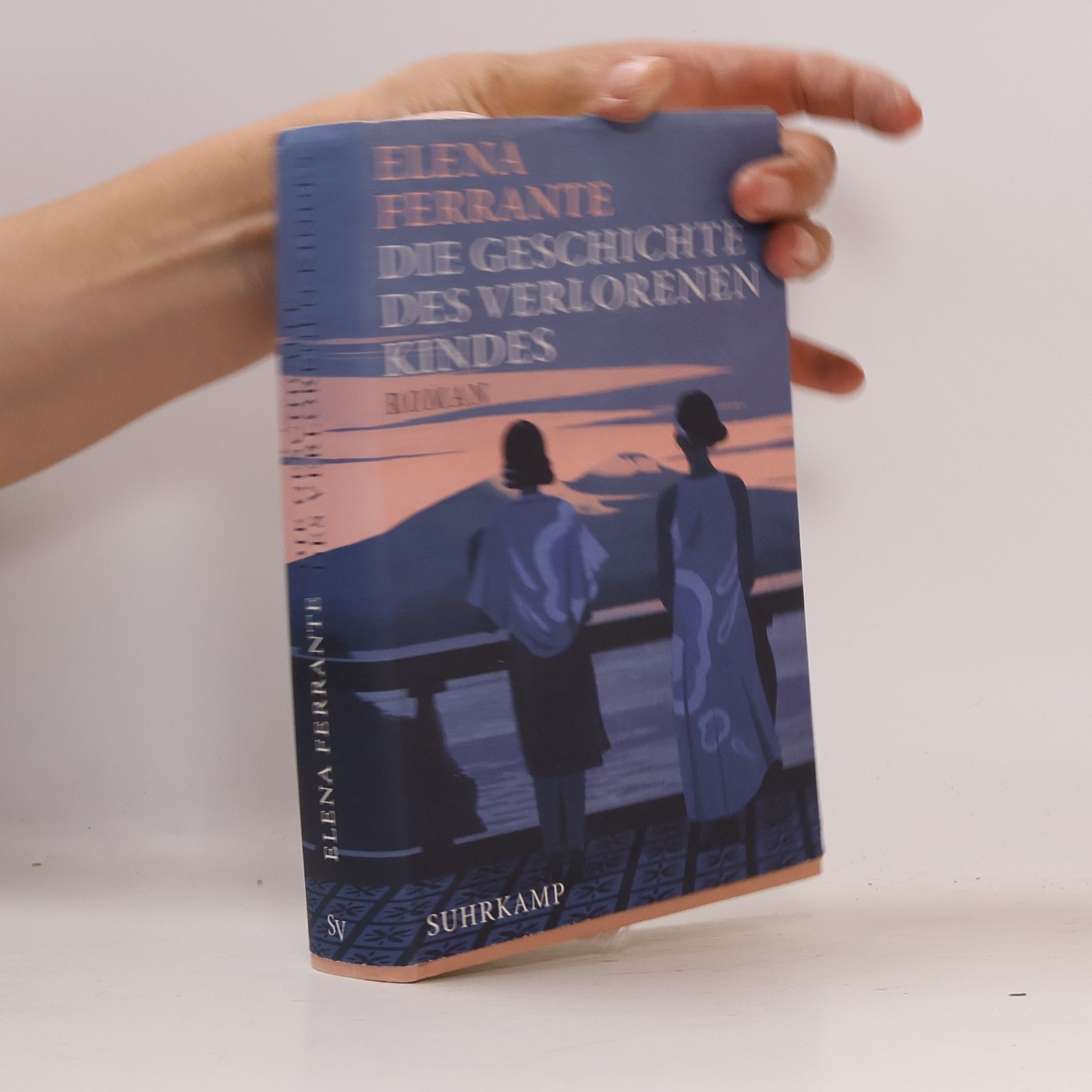 Elena Ferrante Die Geschichte Des Verlorenen Kindes