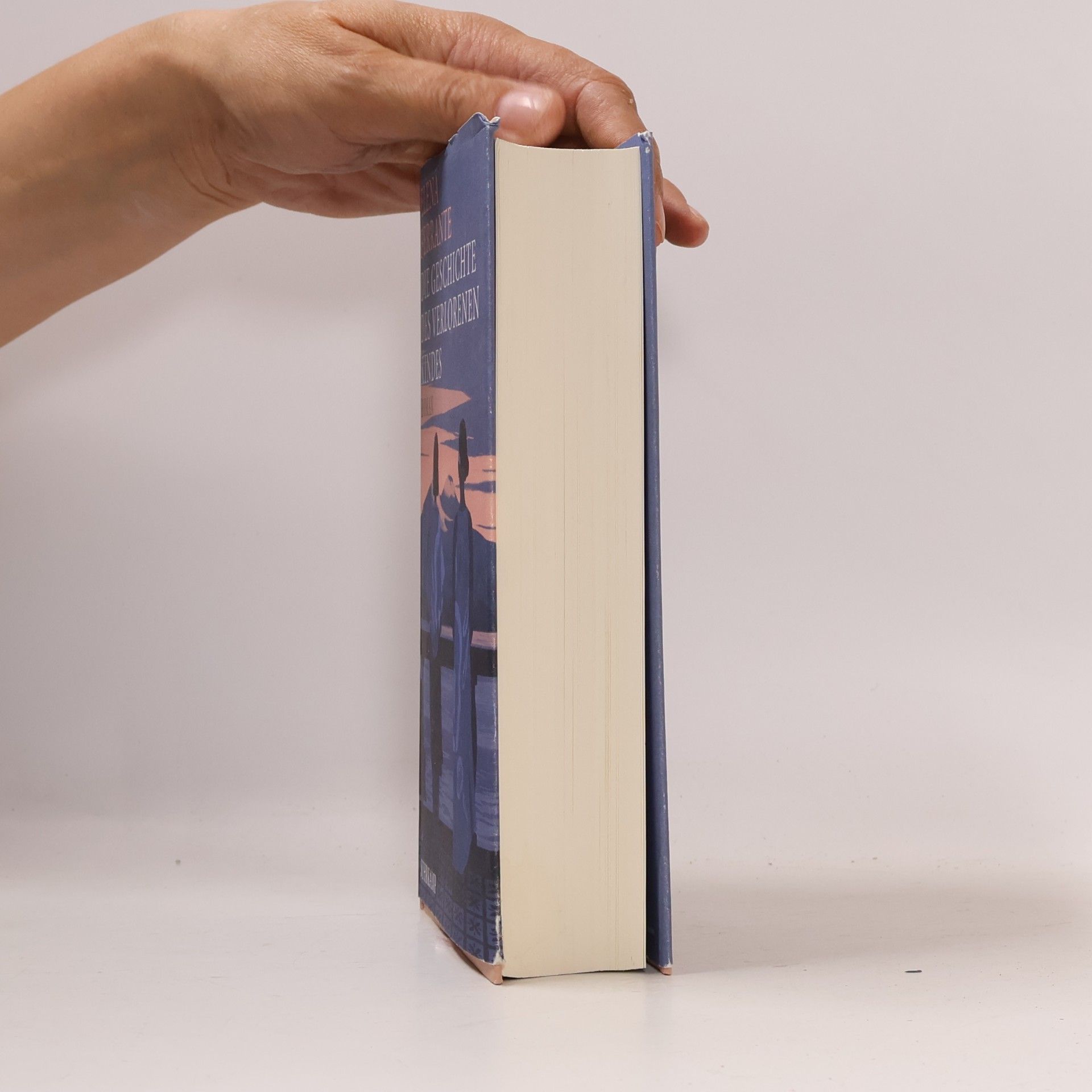 Elena Ferrante Die Geschichte Des Verlorenen Kindes