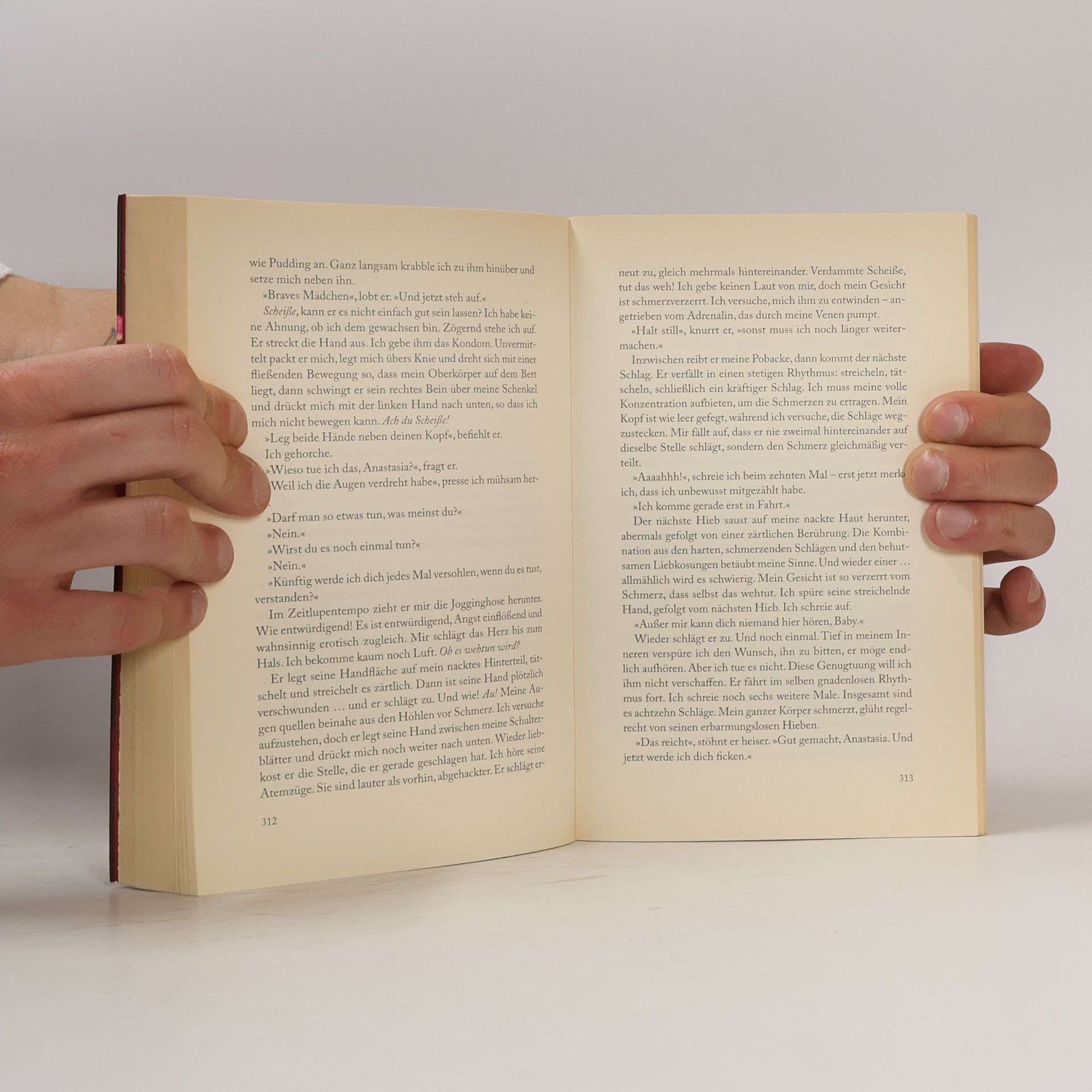 E. L. James Shades of Grey. Geheimes Verlangen