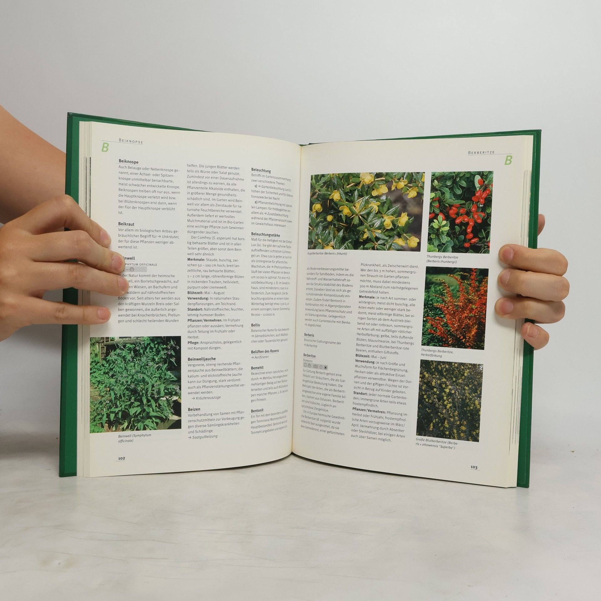 Joachim Mayer Das Grosse Gartenlexikon von A-Z 1. A-D