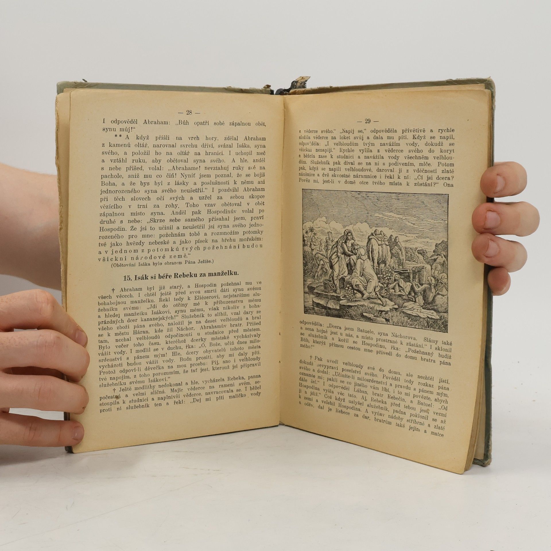 Srdínko František Schusterův biblický dějepis